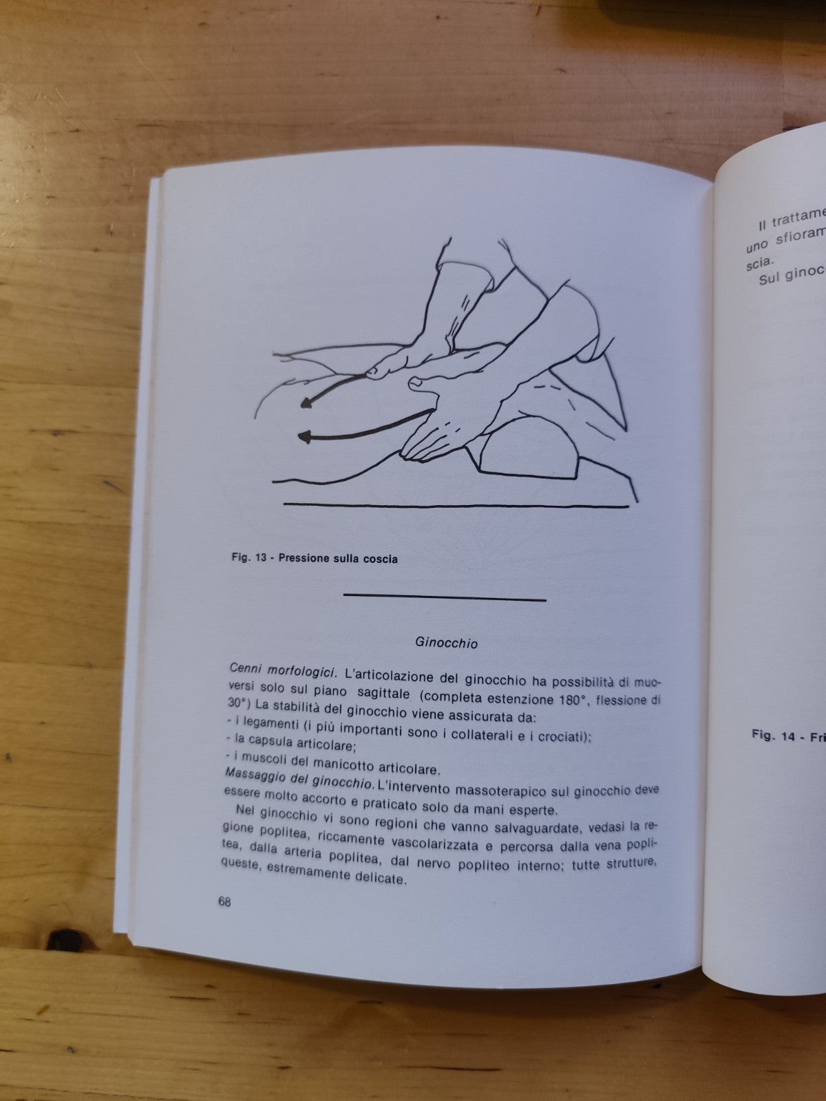 Principi e tecniche del massaggio, G. Lusi - G. Properzi. Marcello Ferri ed.