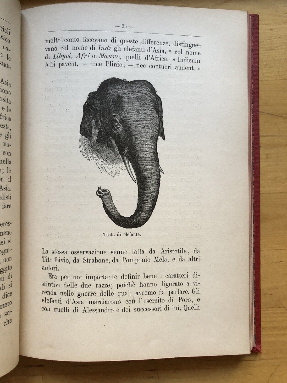 Caccie su terra e su mare - Jack la Bolina - Paravia editore 1896