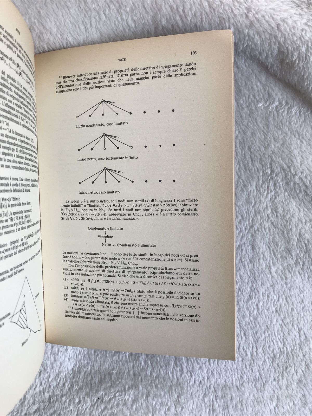 BROUWER lezioni sull'intuizionismo, Boringhieri, Dirk V. Dalen 1946-51  #