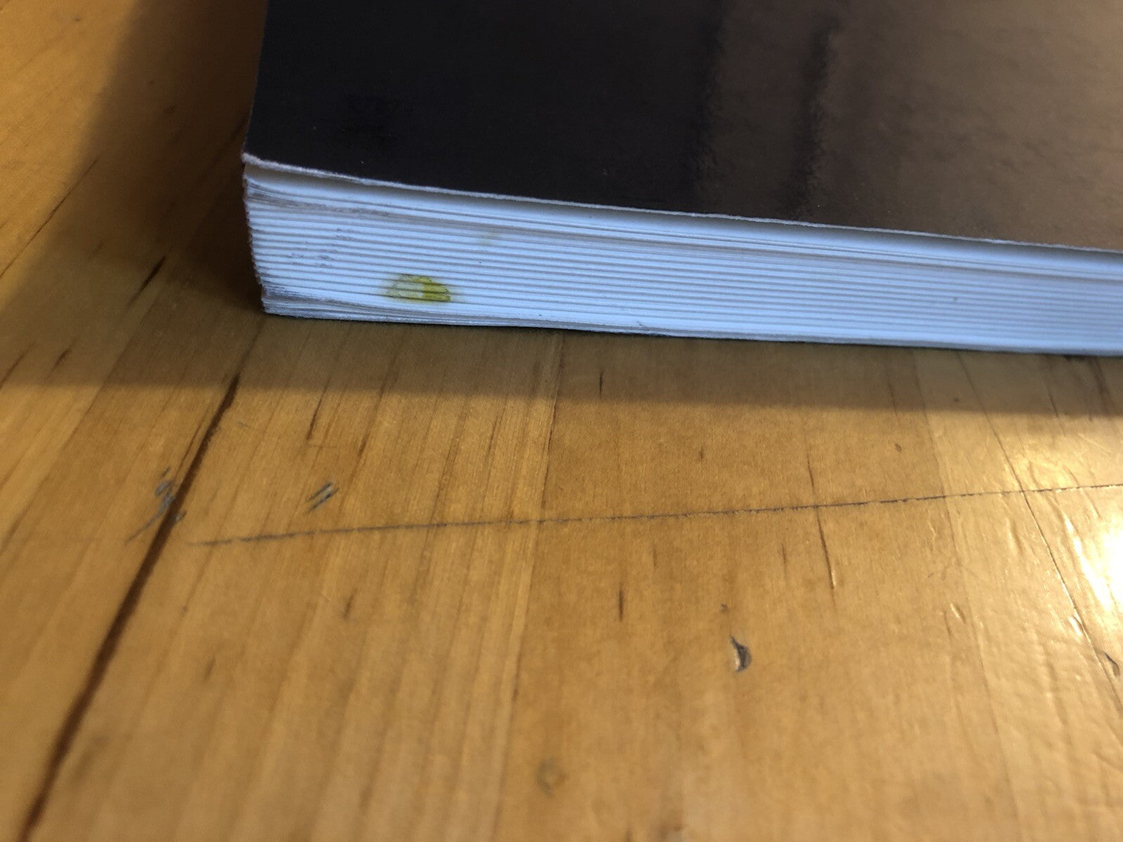 La collina di Bologna un patrimonio naturale per tutta la città e i suoi abitant