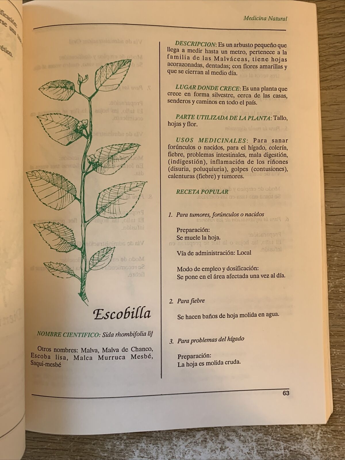 Plantas de uso Medicinal en centro America. Piante medicinali de centro America