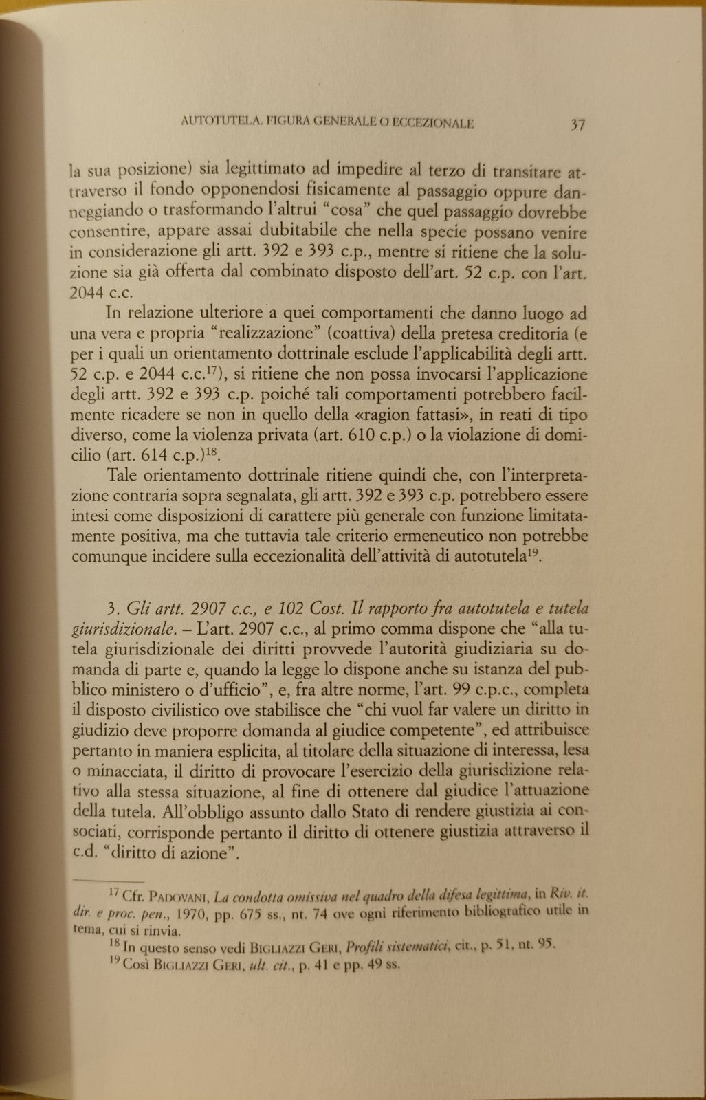 L'autotutela civile - Angela de Sanctis Ricciardone - Jovene Napoli 2011