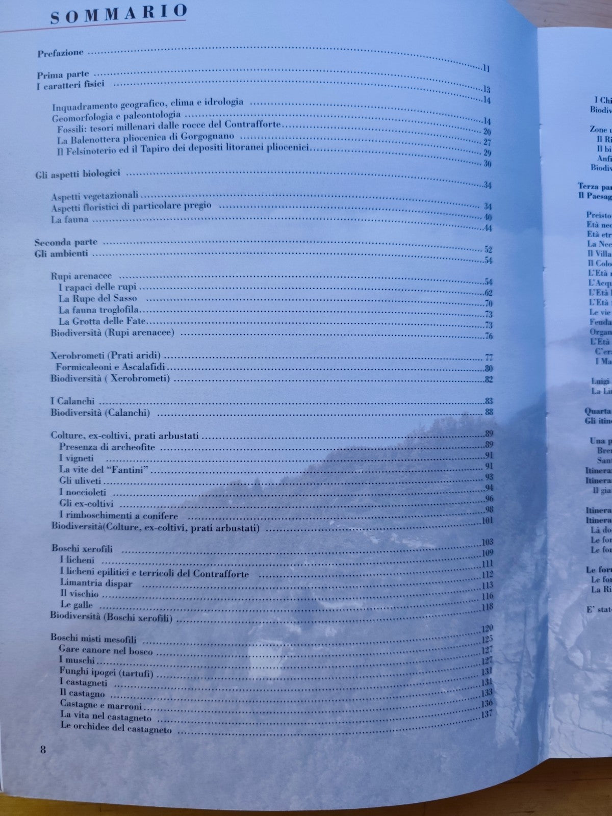 C'era una volta il mare. . . natura e storia tra il Sasso e il Monte delle Formi