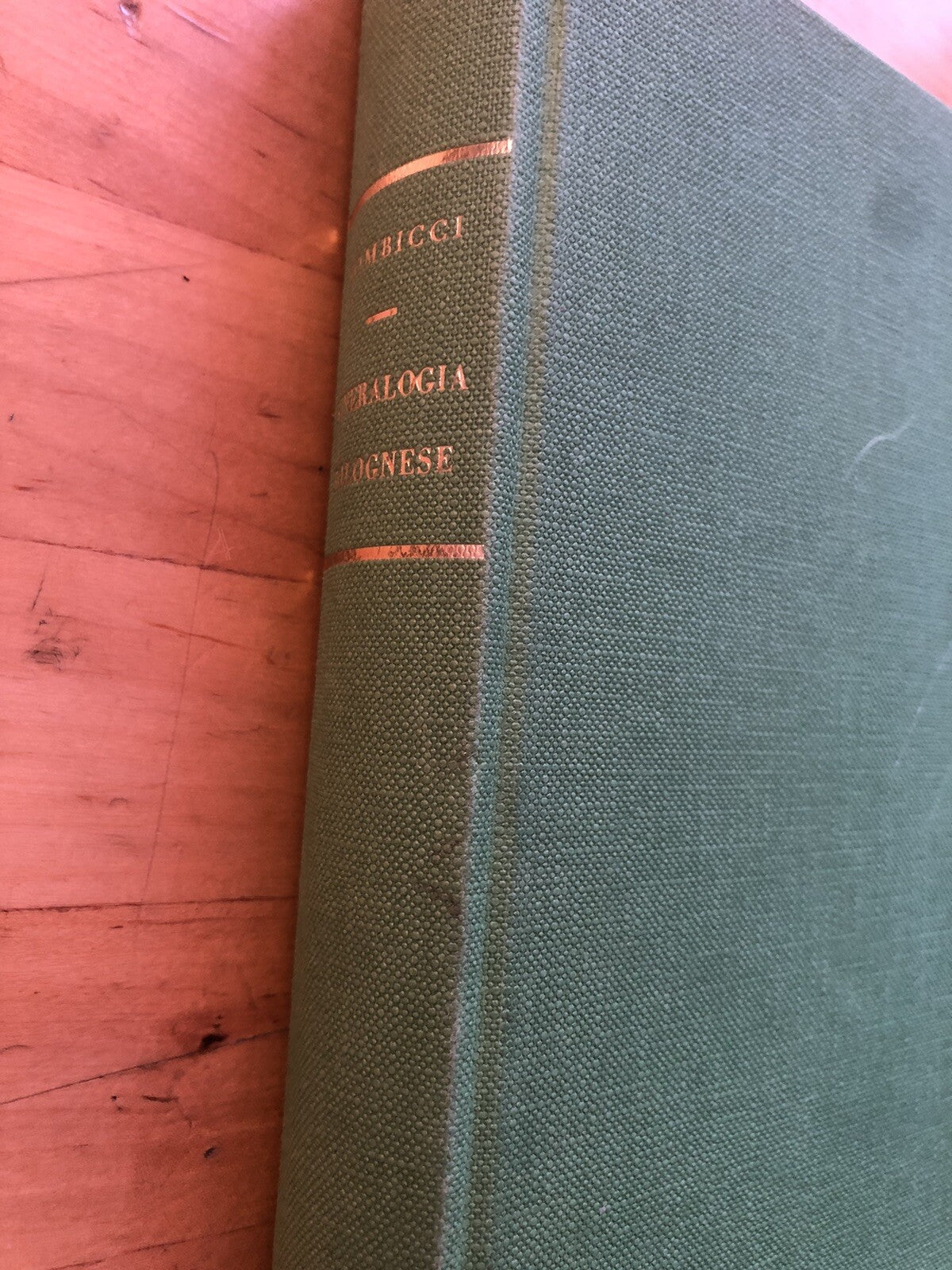 Mineralogia Bolognese, Luigi Bombicci - Atesa editrice. Athos Vianelli 1976