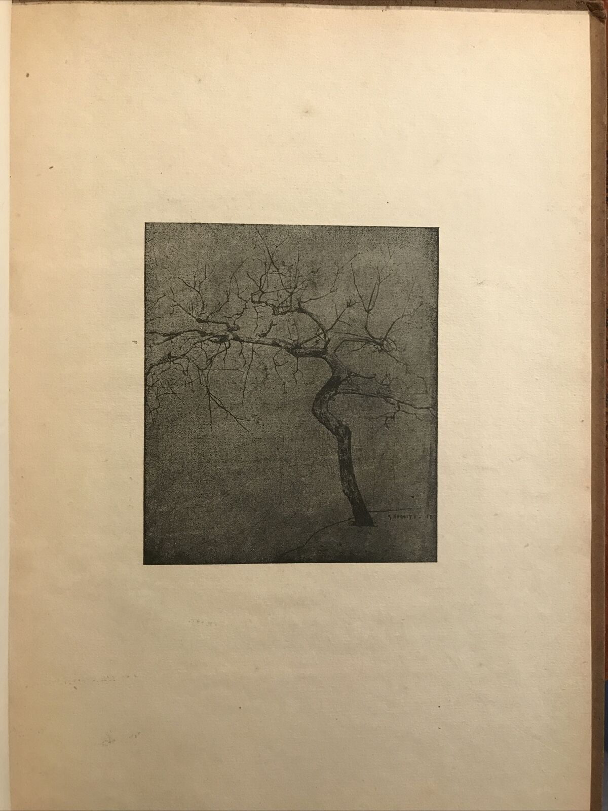 GINO ROMITI pittore Bottega d' arte 1922
