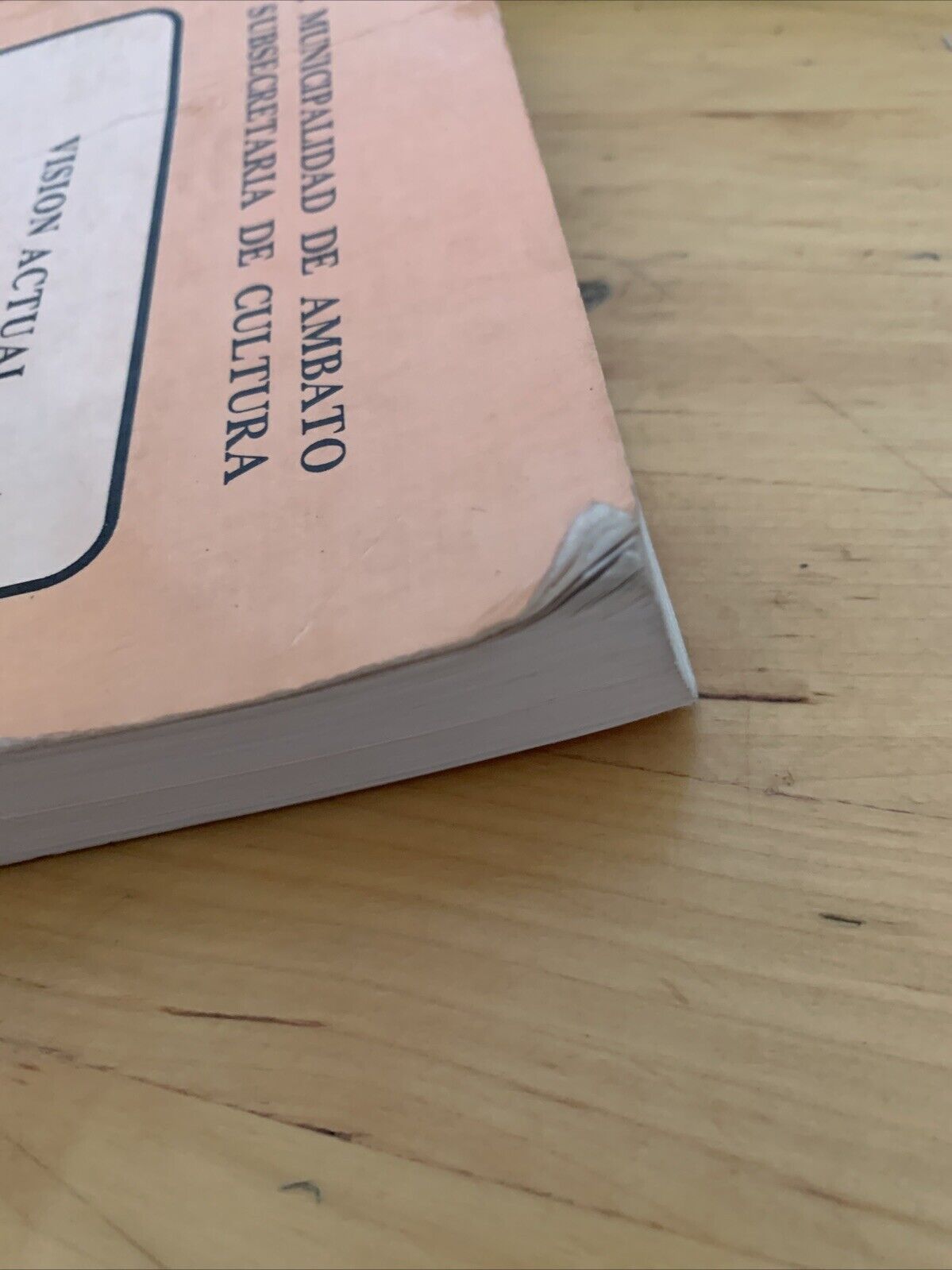 VISION ACTUAL DE JUAN MONTALVO, MUNICIPALIDAD DE AMBATO SUBSECRETARIA DE CULTURA