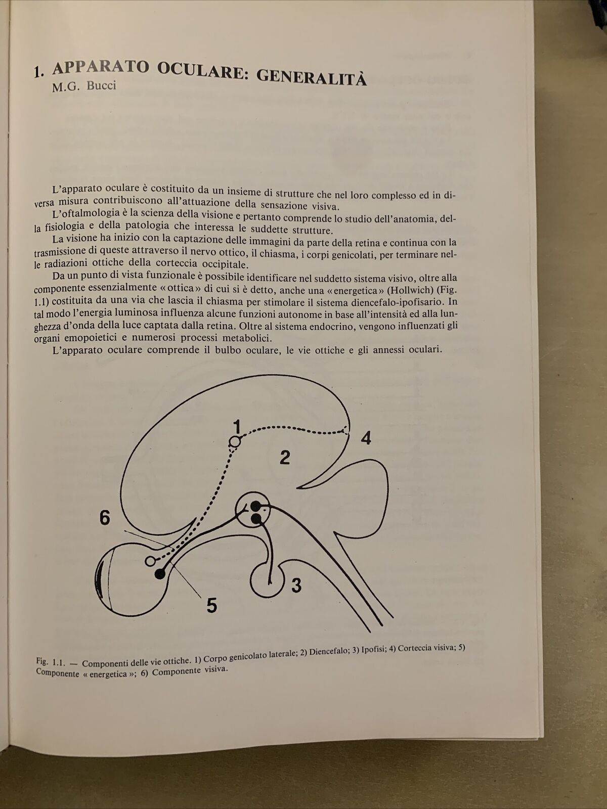 OFTALMOLOGIA - MASSIMO G. BUCCI. EDITRICE UNIVERSO 1993