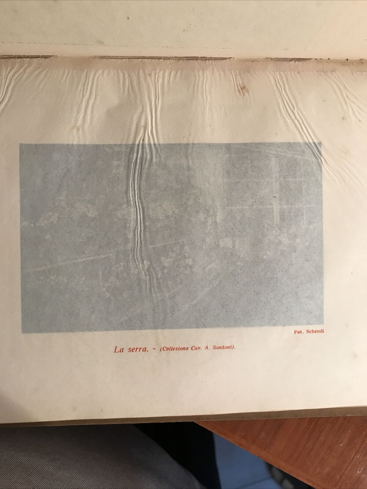 GINO ROMITI pittore Bottega d' arte 1922