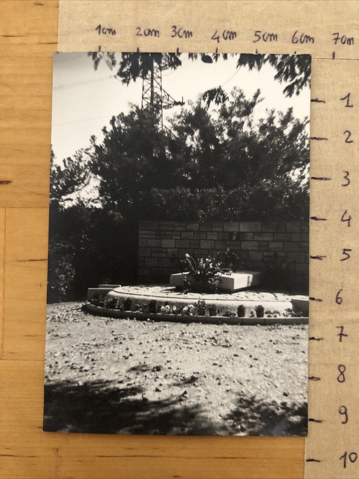 Fotografie MONTPELLIER - tomba della regina Elena anni ' 50