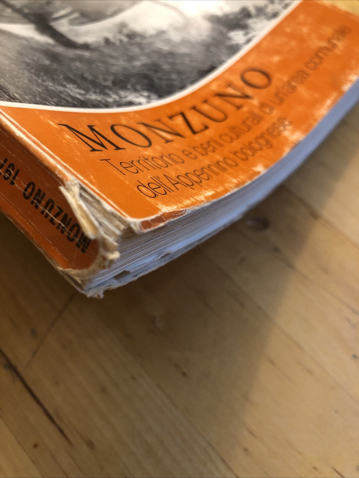 Monzuno territorio e beni culturali di un'area comunale dell'Appennino Bolognese