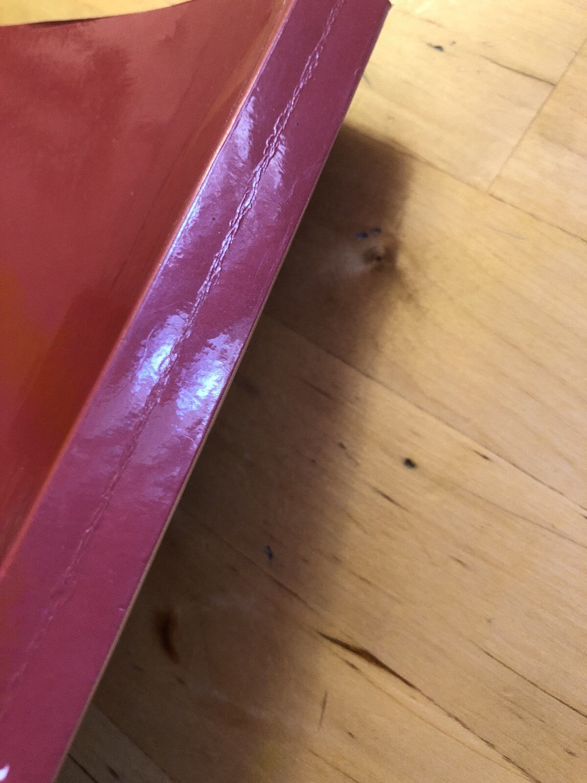 Tutta Bologna per conoscere il meglio della città, Tiziano Costa. Costa ed. 1997