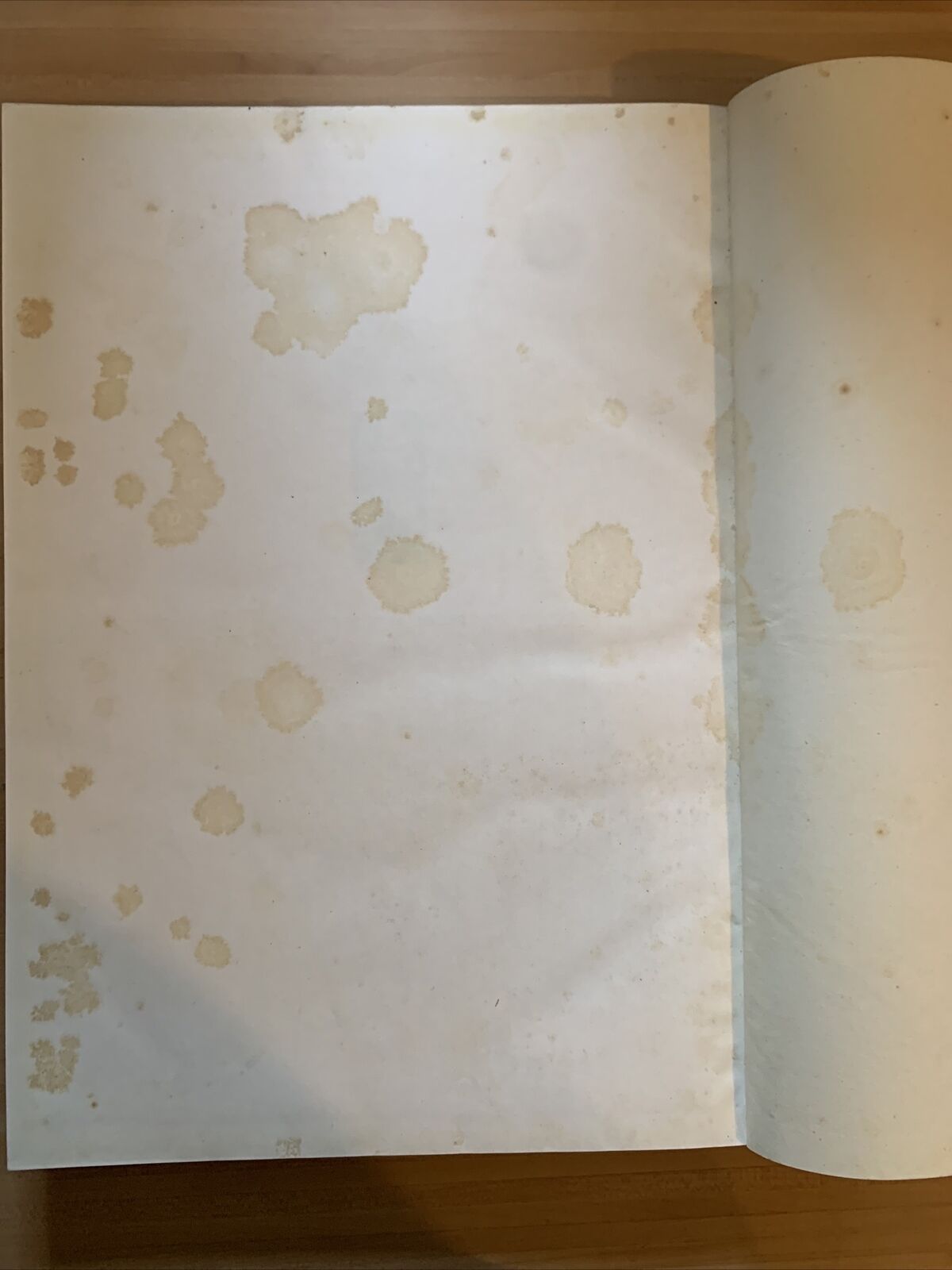 Le pitture musulmane al soffitto della cappella Palatina in Palermo. Monneret