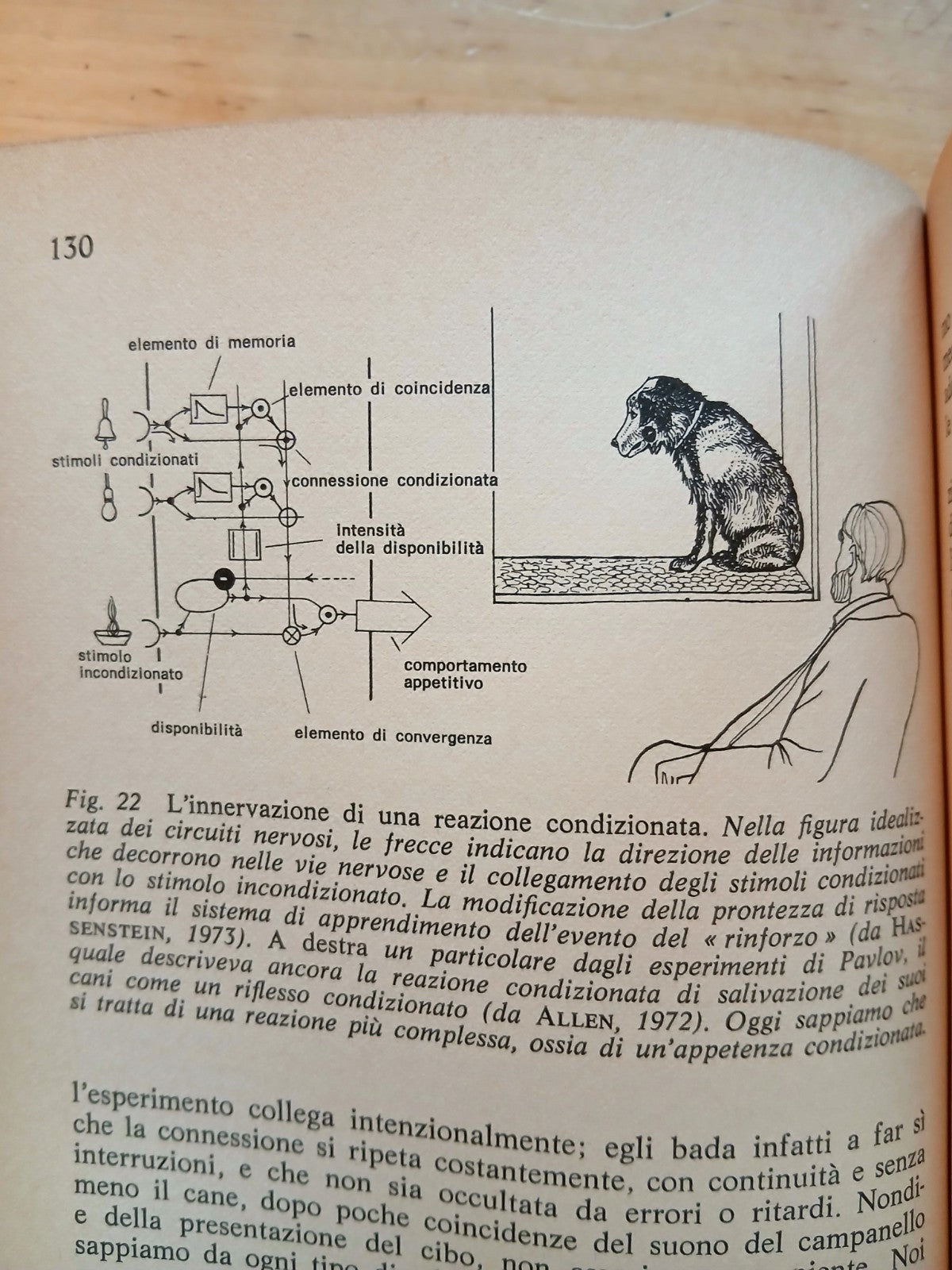 Biologia della conoscenza. Rupert Riedl. I fondamenti evoluzionistici, Longanesi
