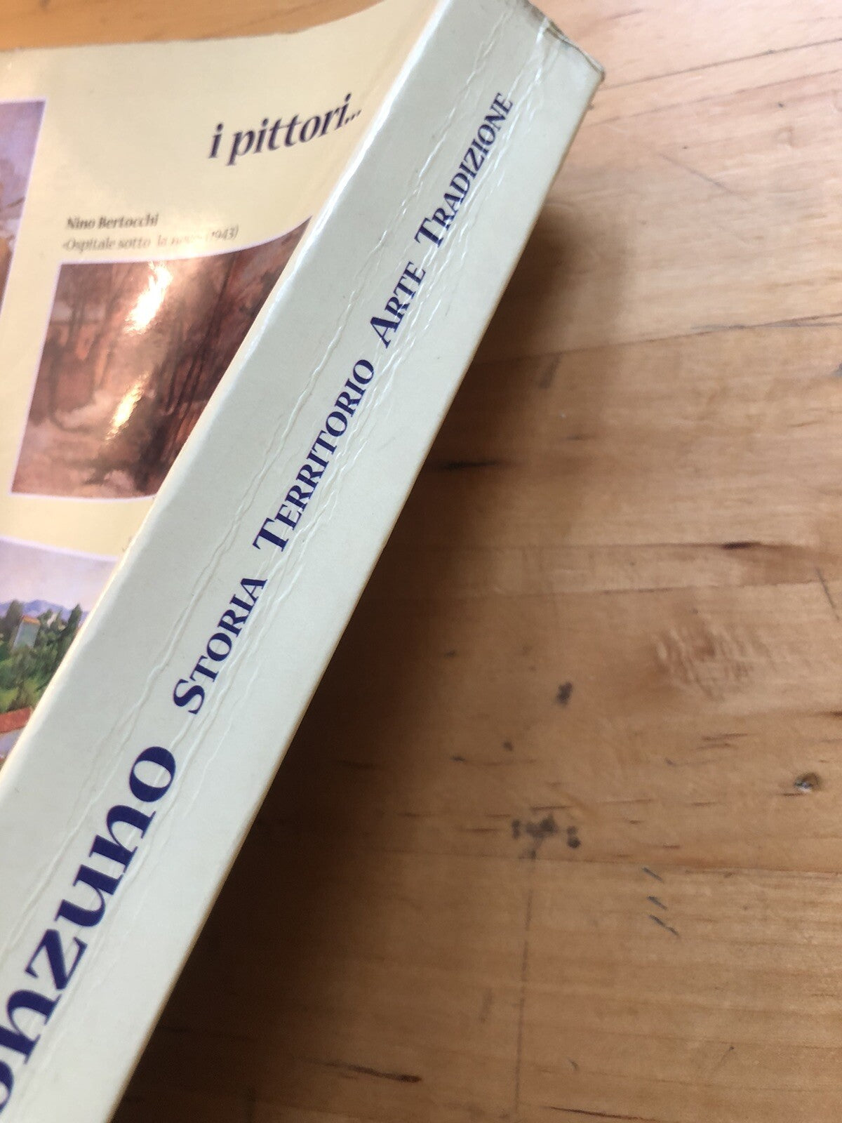 Monzuno - Storia Territorio Arte Tradizione 1999