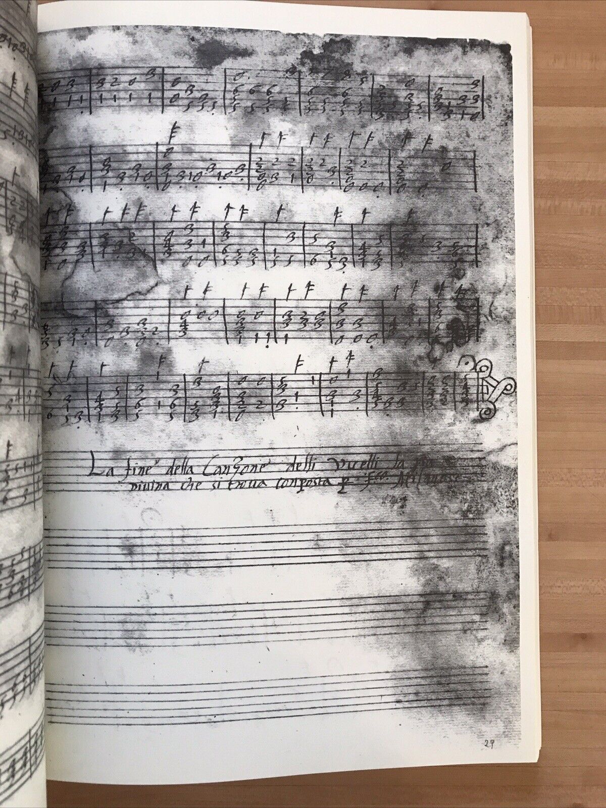 INTAVOLATURA MANOSCRITTA PER LIUTO,G. Pacolini, Castelfr. Veneto, F. Rossi Forni