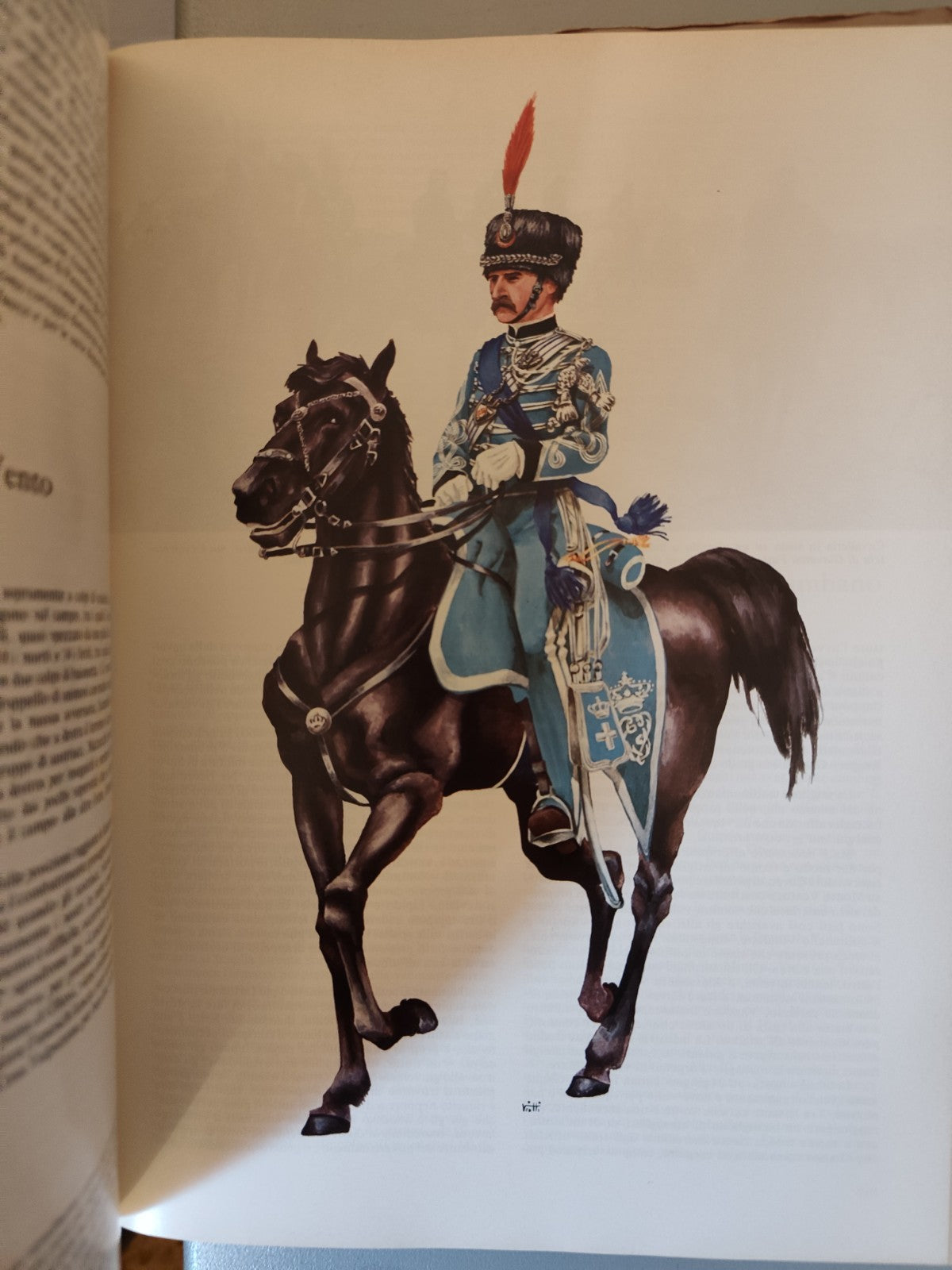 Caricat storia dell'arma di cavalleria, L'esercito e suoi corpi Stato Maggiore