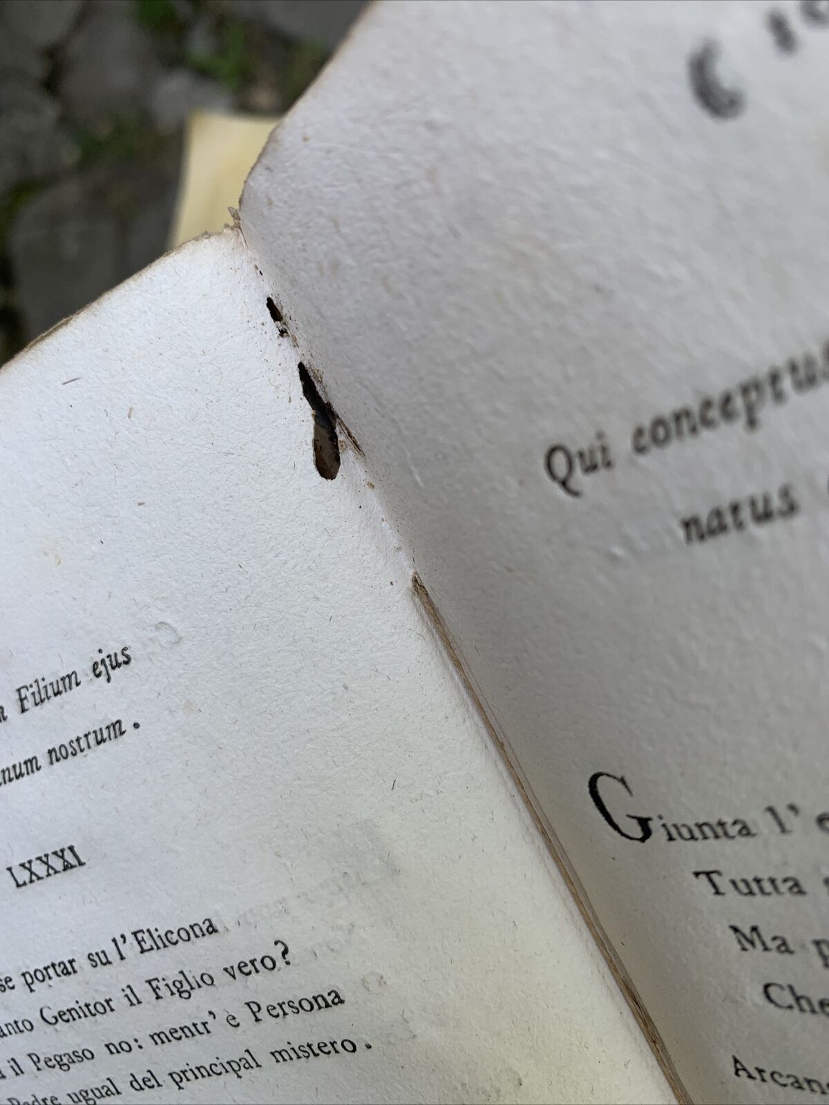 ULTIME POESIE DEL CANONICO K. ALBERTO BACCANTI - Casalmaggiore 1804, Bizzarri ed