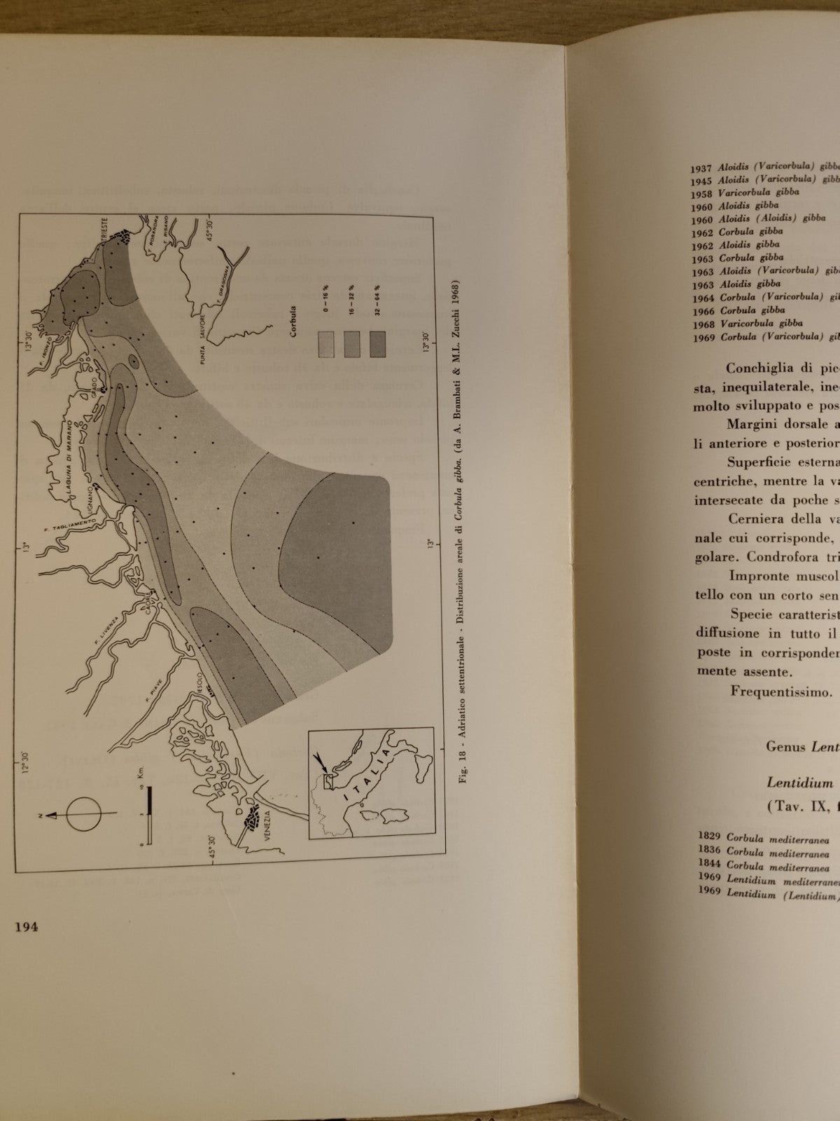 Lamellibranchi recenti Adriatico settentrionale Venezia Trieste - Stolfa Zucchi