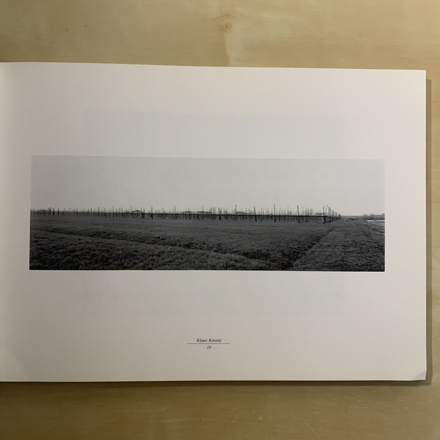 ESPLORAZIONI SULLA VIA EMILIA - Luigi Ghirri - Vedute nel Paesaggio. 1986 #