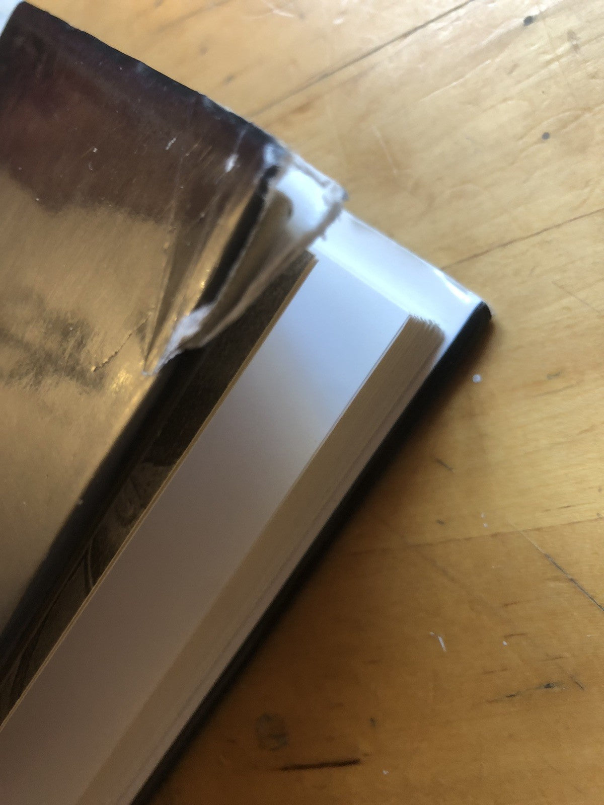 Il colore del tempo, muri intonaci e mattoni della Bologna antica . . Santucci