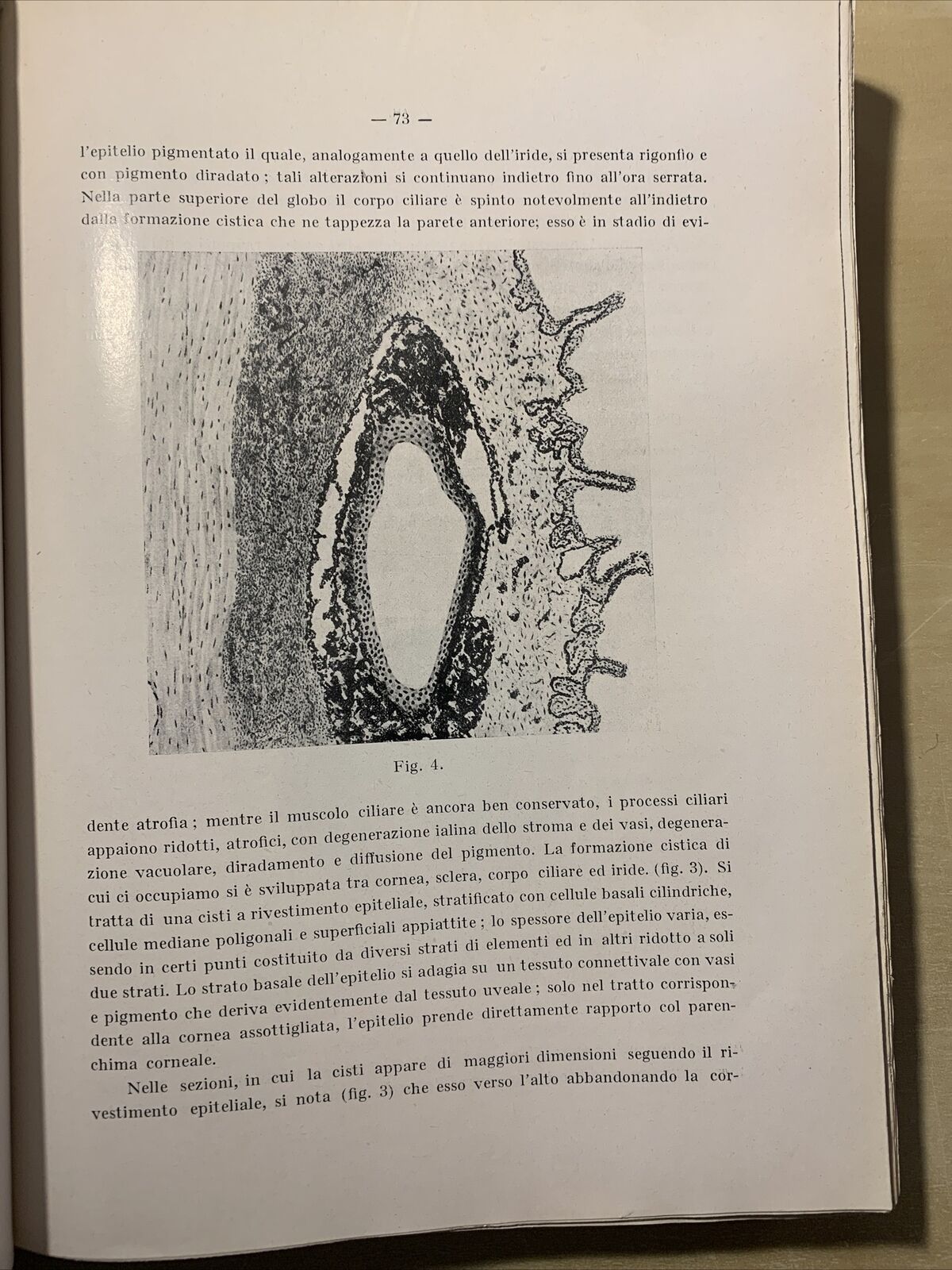 SAGGI DI OFTALMOLOGIA - clinica oculistica di Roma. Prof di Marzio 1927. vol 3 #