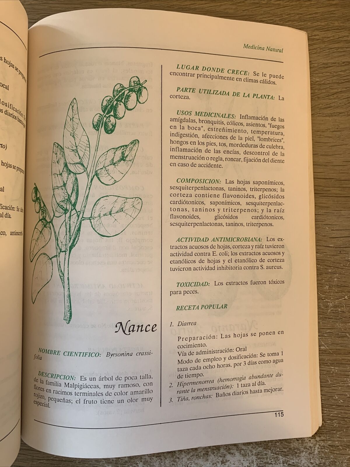 Plantas de uso Medicinal en centro America. Piante medicinali de centro America