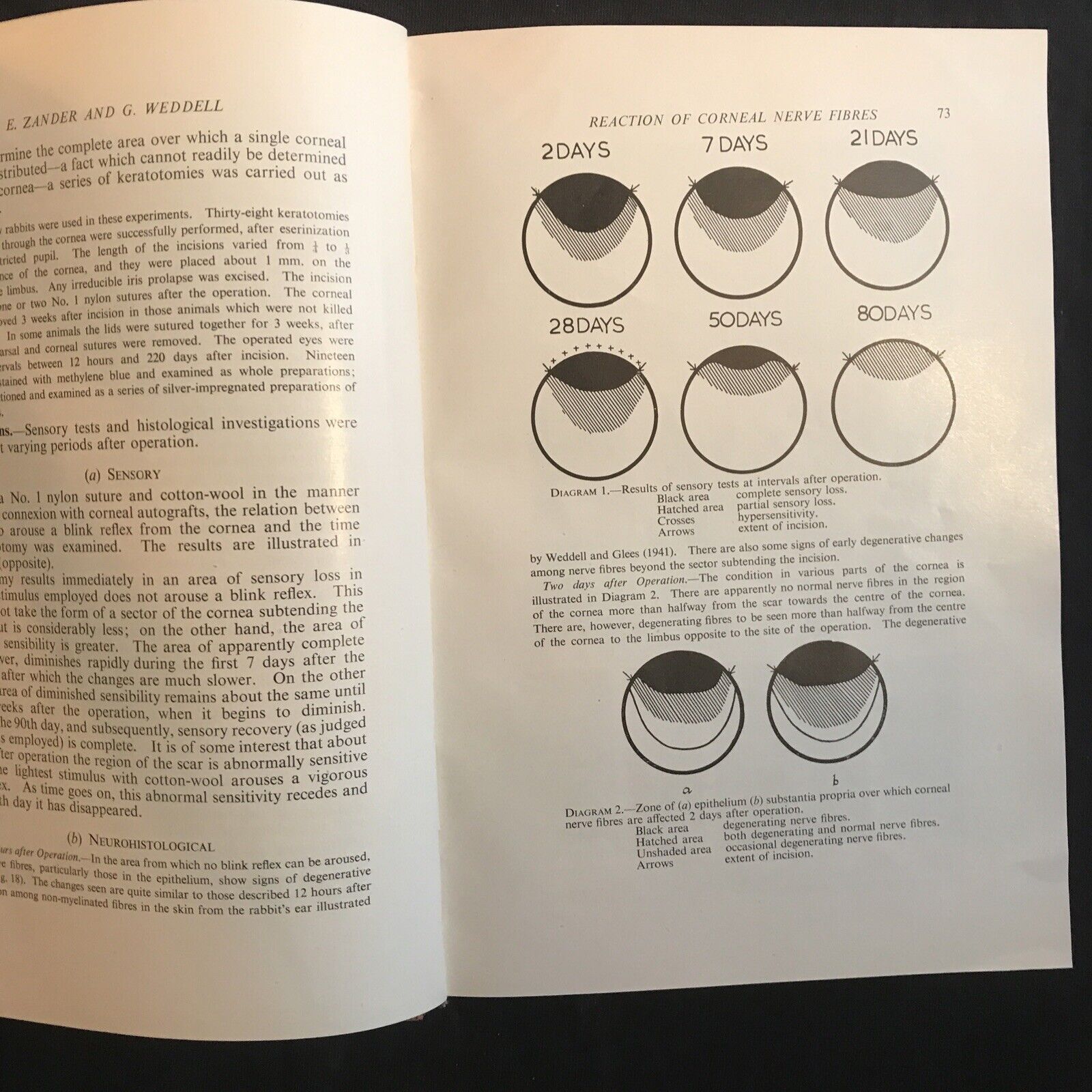 BRITISH JOURNAL OF OPHTHALMOLOGY, oftalmologia. Stewart Duke-Elder 1951 vol XXXV