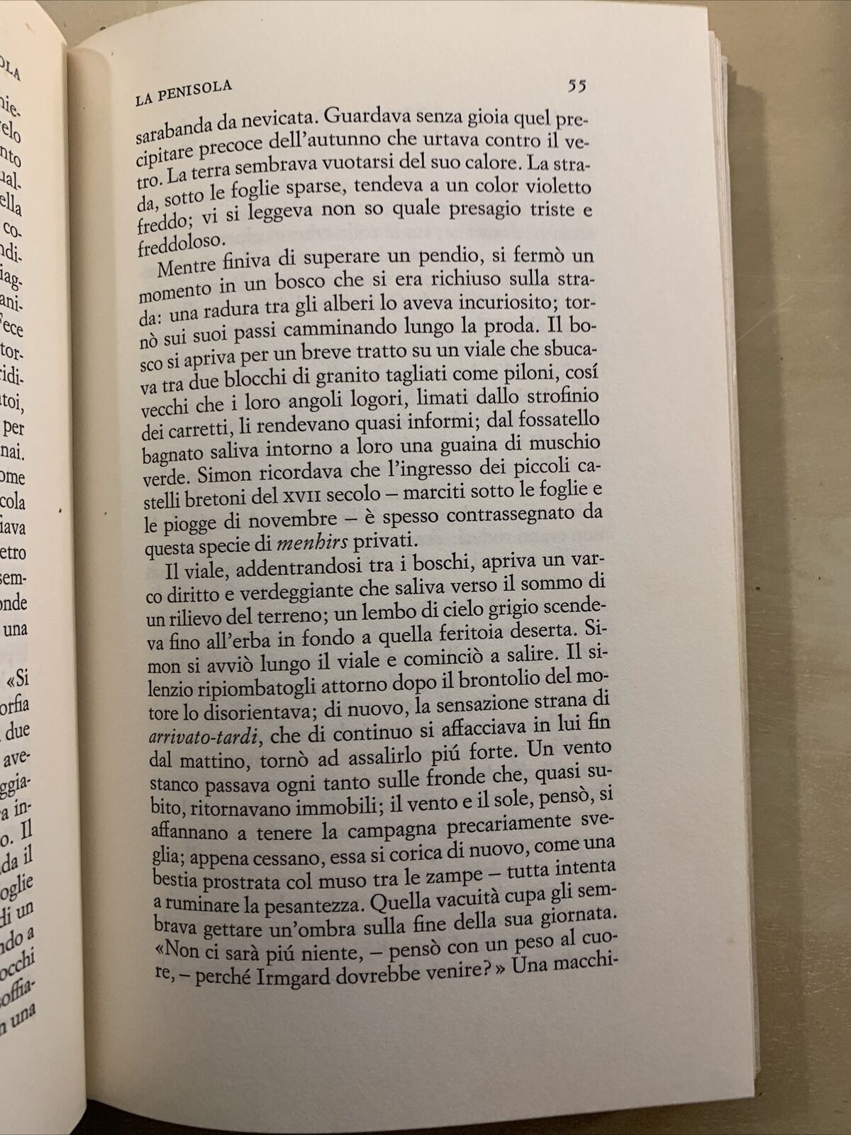 LA PENISOLA - JULIEN GRACQ. Einaudi 1972 #