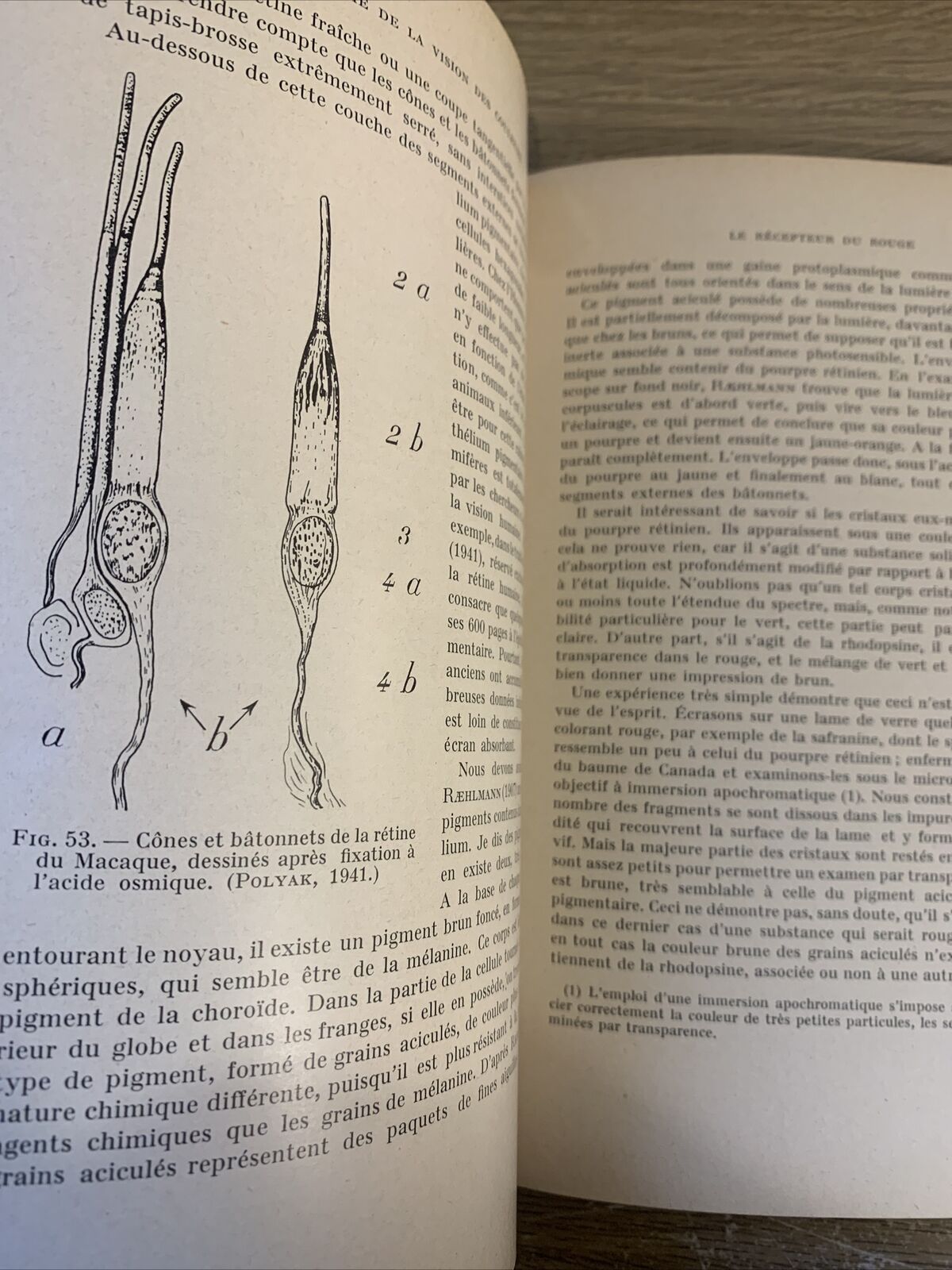 LE MÉCANISME DE LA VISION DES COULEURS. J. SÉGAL. physiologie pathologie 1953