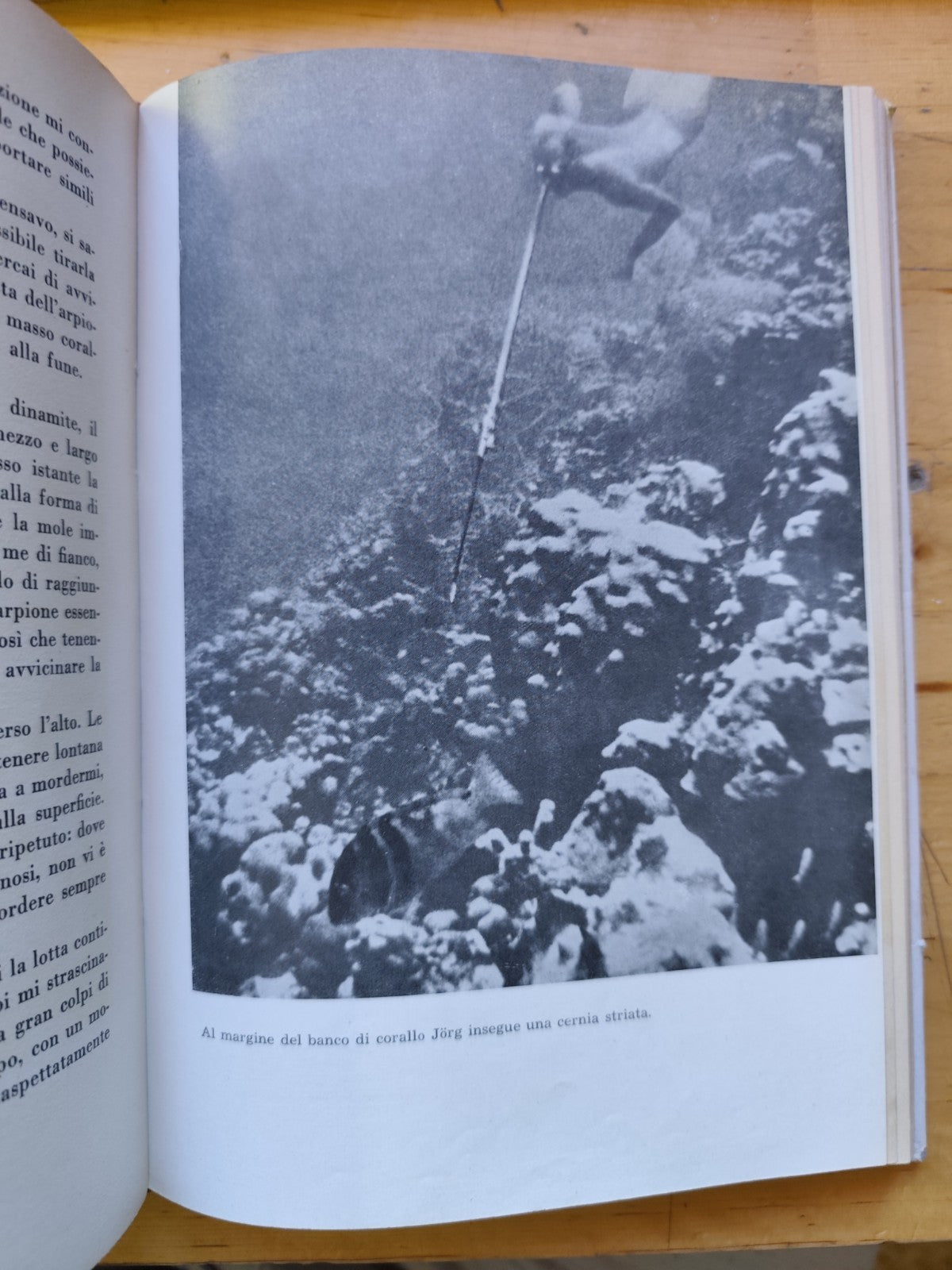 Fra squali e coralli avventure nel mar Caraibico, Hans Hass - Mediterranea 1949