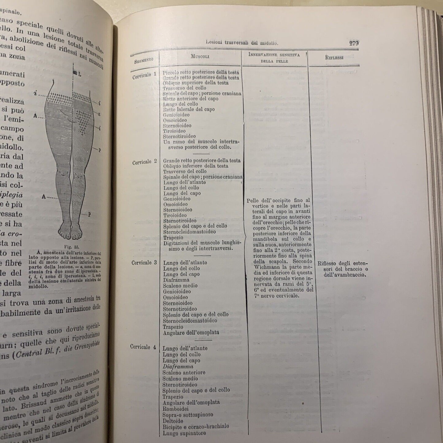 MANUALE PRATICO MEDICINA INTERNA - FEDERICO TAYLOR. UTET 1911. 2 VOLUMI #