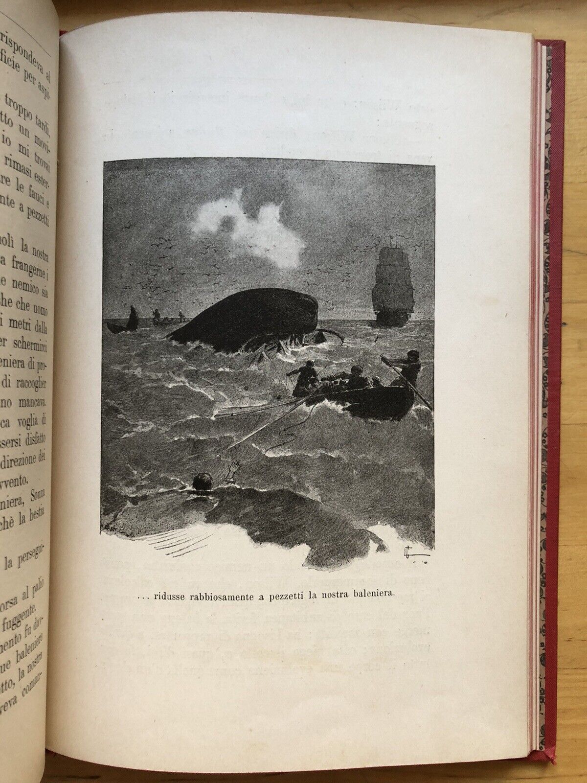 Caccie su terra e su mare - Jack la Bolina - Paravia editore 1896