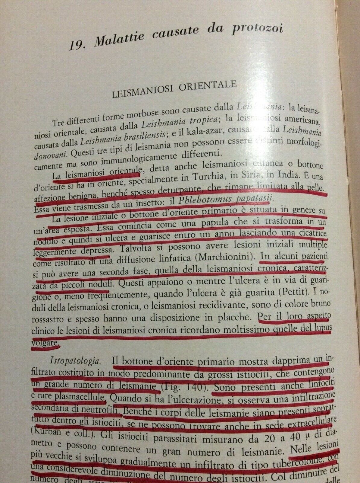 ISTOPATOLOGIA DELLA PELLE. WALTER F. LEVER 1970. Histopathology of the skin