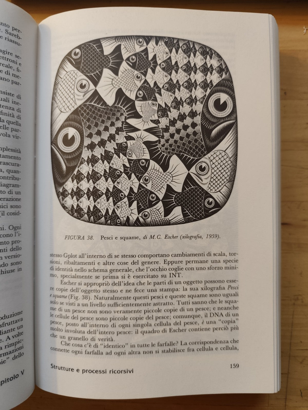 Godel Escher Bach - Douglas R. Hofstadter. Adelphi edizioni 1984