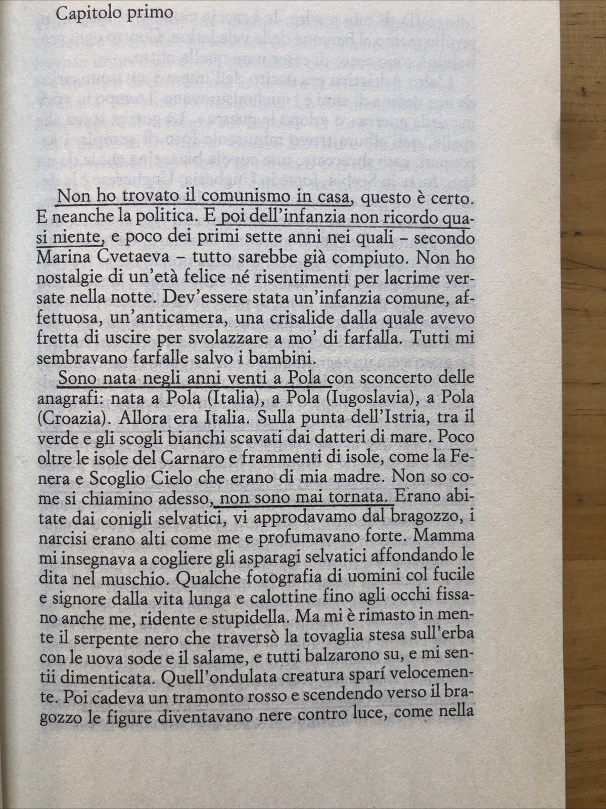 Rossana Rossanda - Quando si pensava in grande, La ragazza del secolo scorso