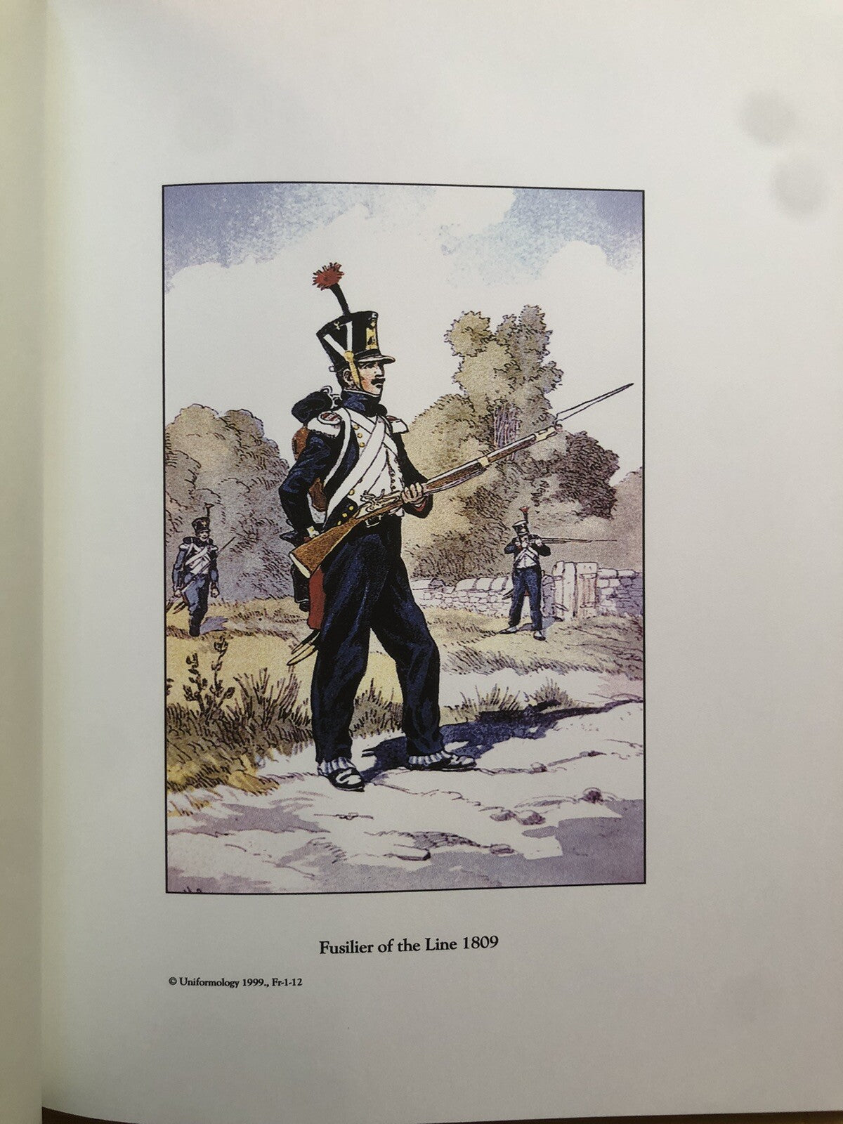 French army of the first empire, Taconville's 23 full color plates