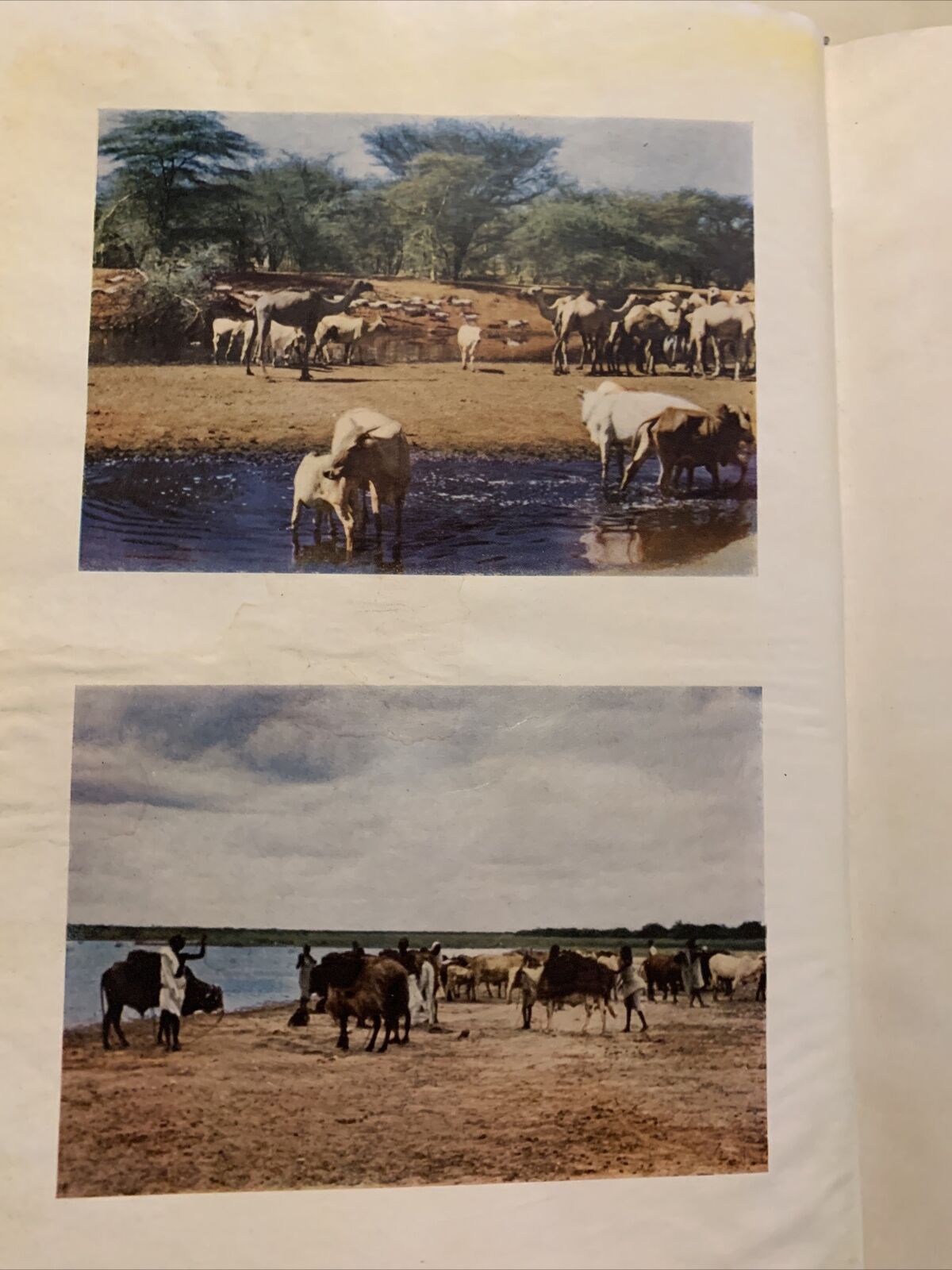 SOMALIA Enrico Cerulli, vol. 2 Diritto Etnografia Linguistica tribù Hawiyya 1959