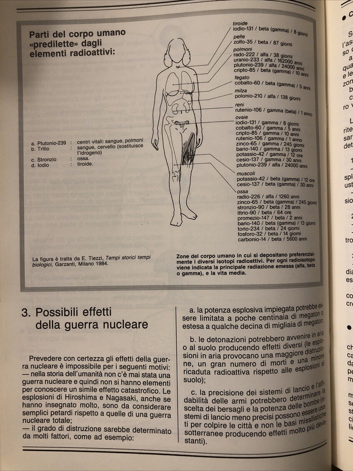 La corsa agli armamenti - Bruno Jannamorelli, edizioni gruppo Abele 1986