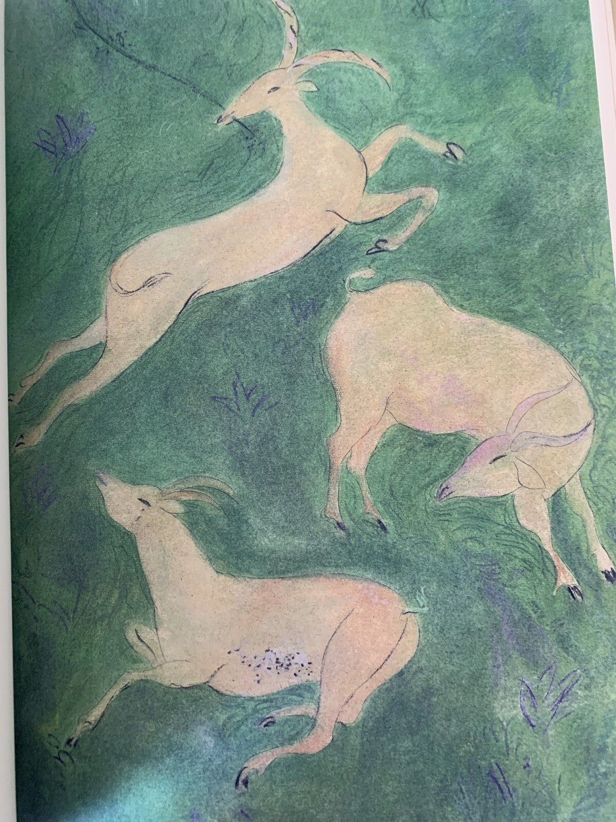 Cantico dei cantici, EDIZIONE PREGIATA Pierre Boncompain. Art'e', G. Ravasi 2002