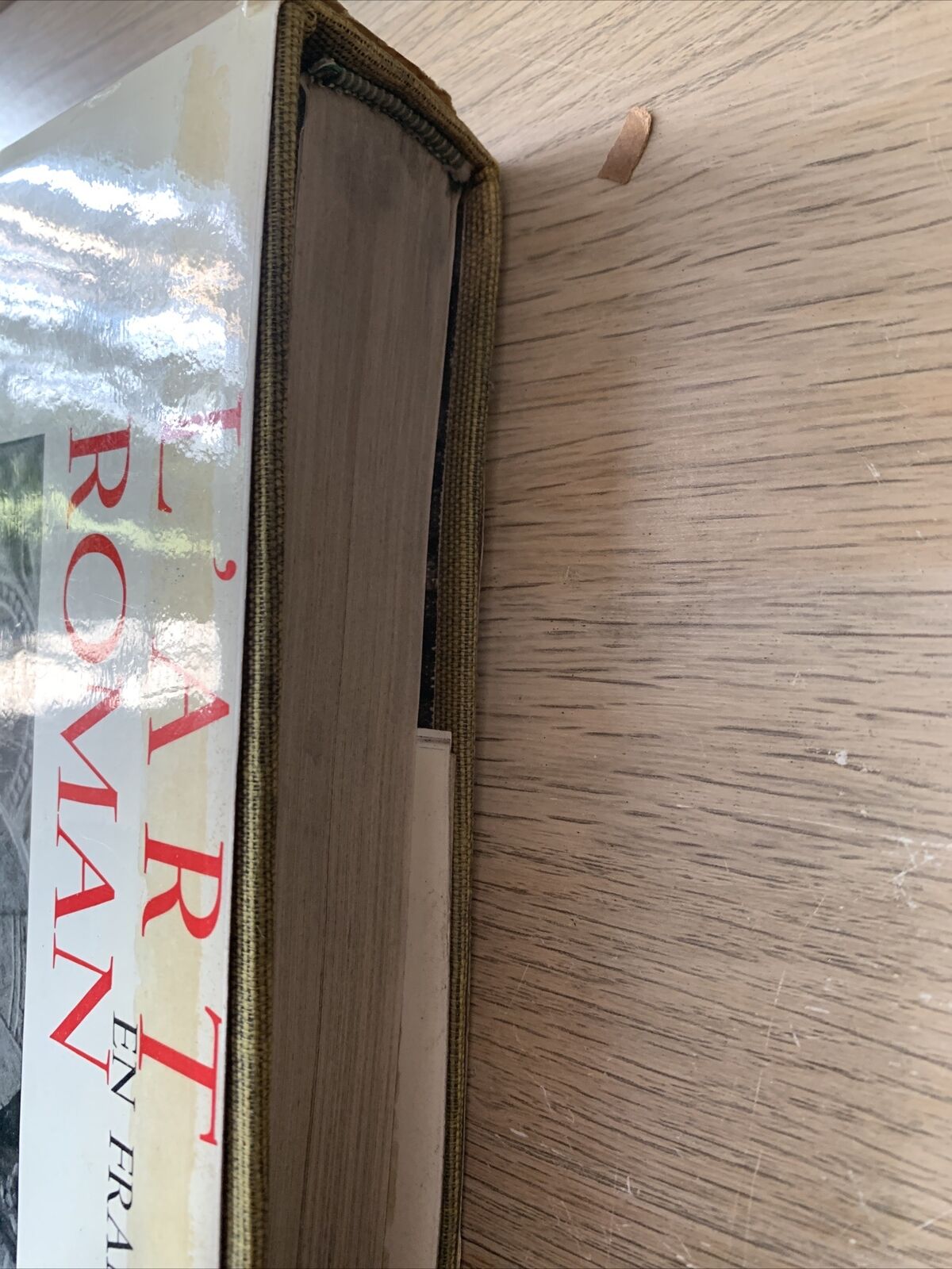 L'ART ROMA EN FRANCE . FLAMMARION 1961
