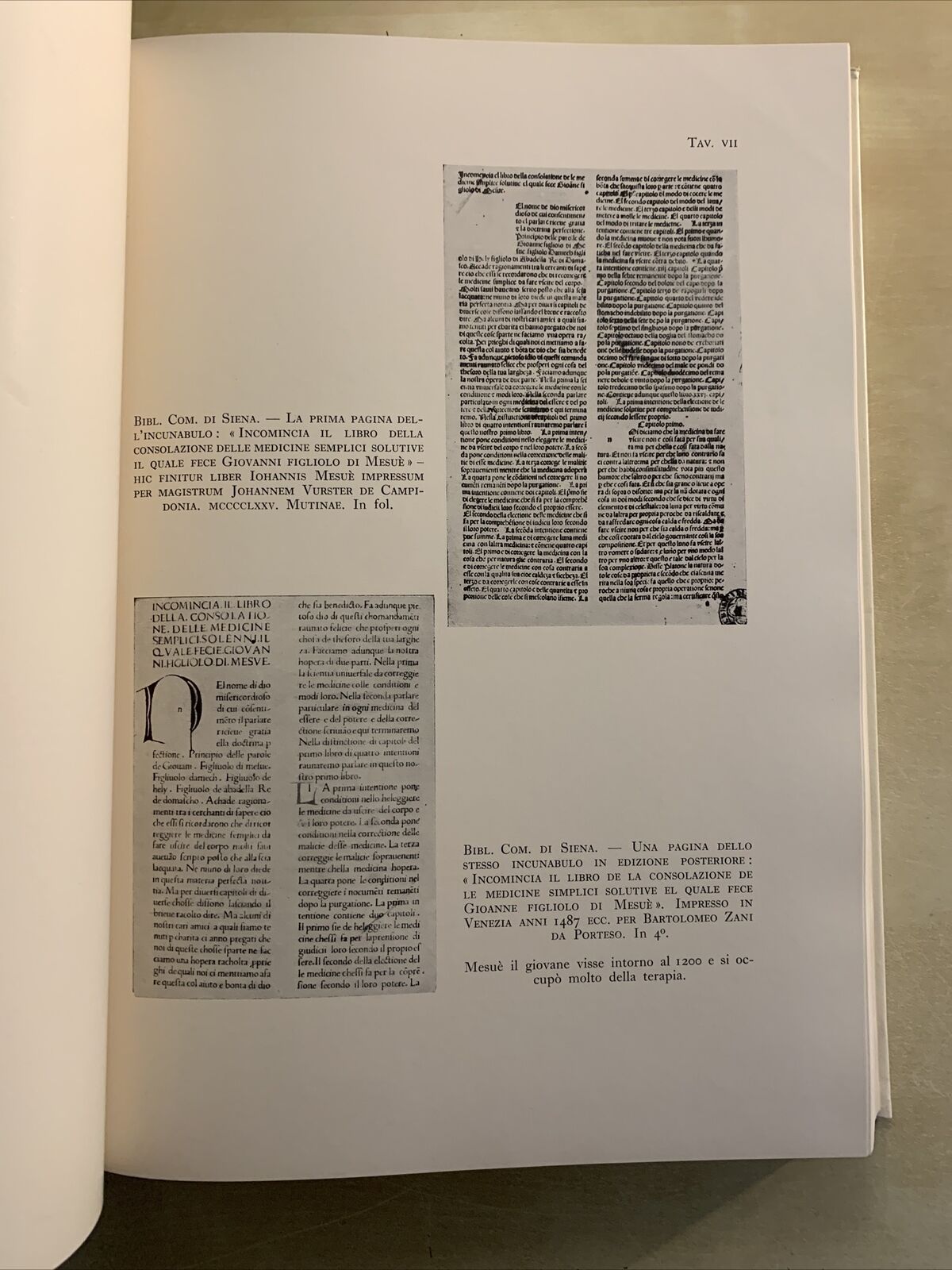 INTER ARTIUM ET MEDICINAE DOCTORES - ALCIDE GAROSI. OLSCHKI EDITORE #