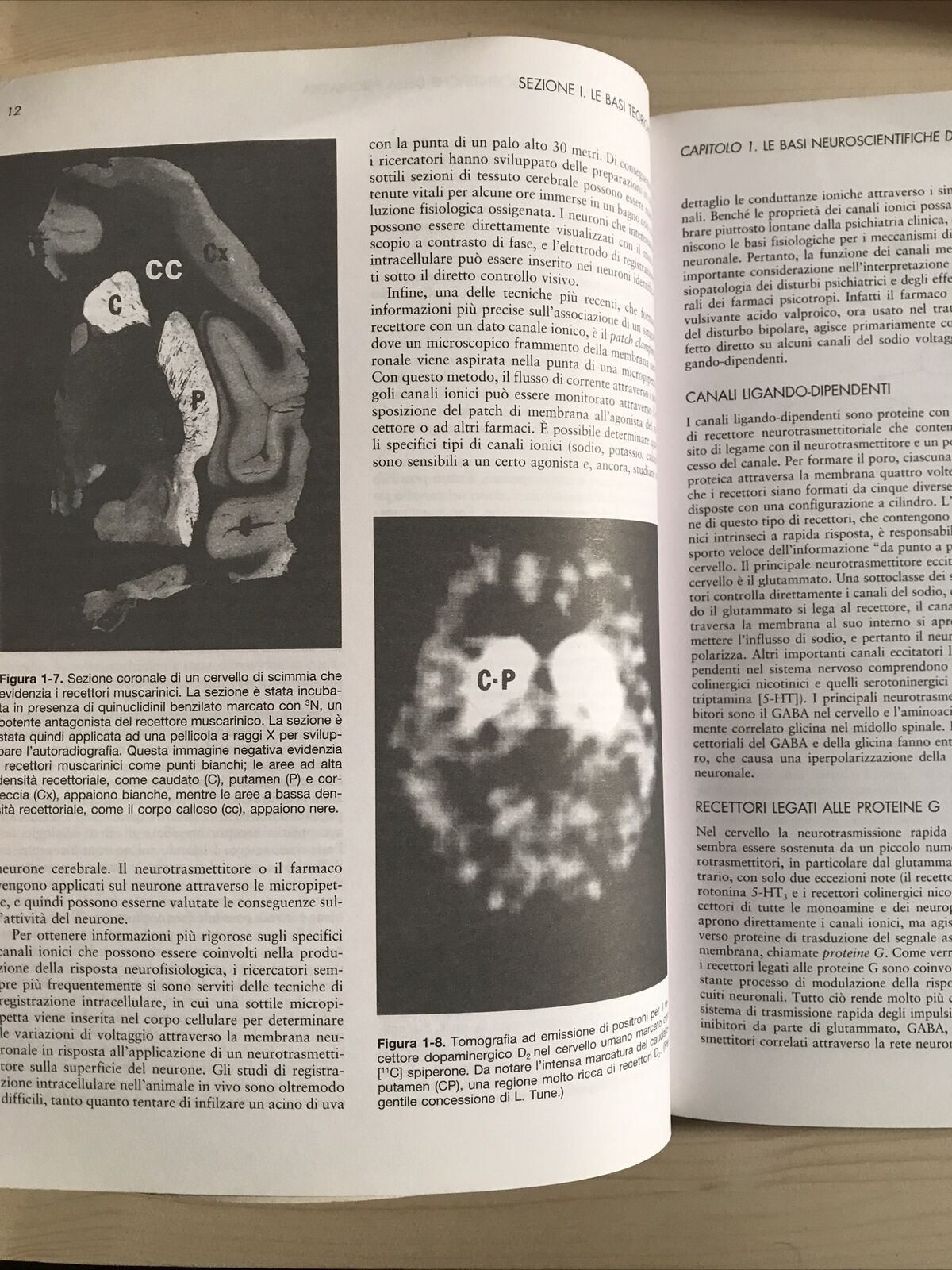 PSICHIATRIA - Hales, Yudofsky - American psychiatric press, Volume 1