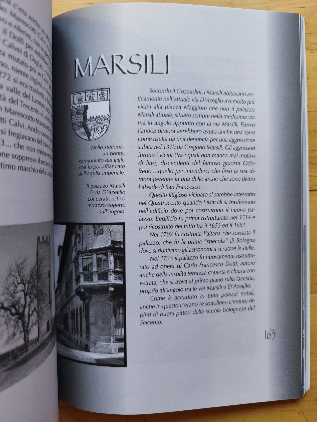 Cognomi del territorio di Bologna - Le grandi famiglie di Bologna, Tiziano Costa