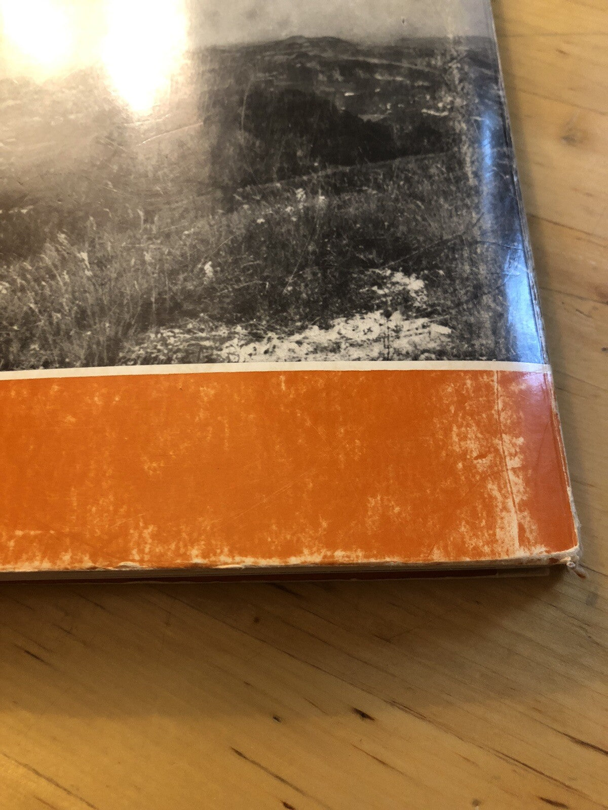 Monzuno territorio e beni culturali di un'area comunale dell'Appennino Bolognese