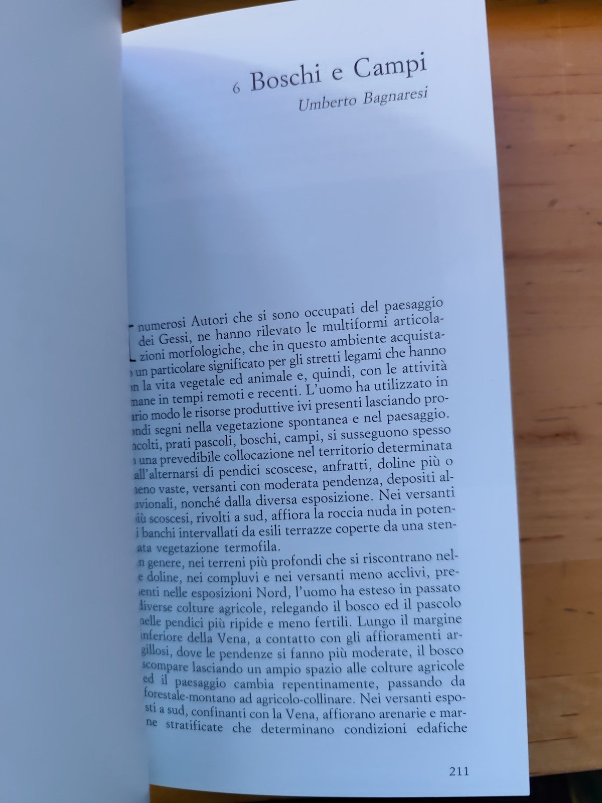 La vena del Gesso Bologna - Regione Emilia Romagna, U. Bagnaresi 1994