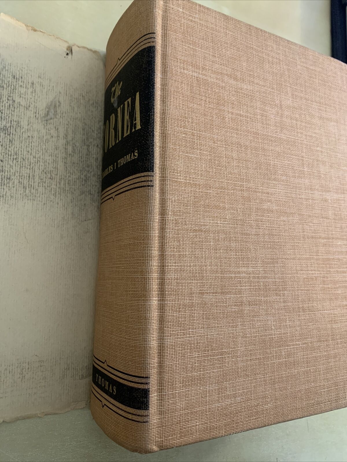 THE CORNEA - CHARLES THOMAS M. D.
