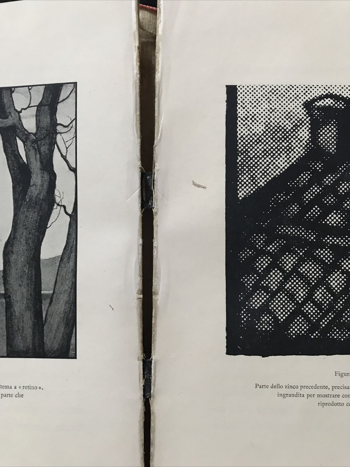 COME NASCE UN LIBRO - R. Bertieri, Istituto Bertieri 1931 #