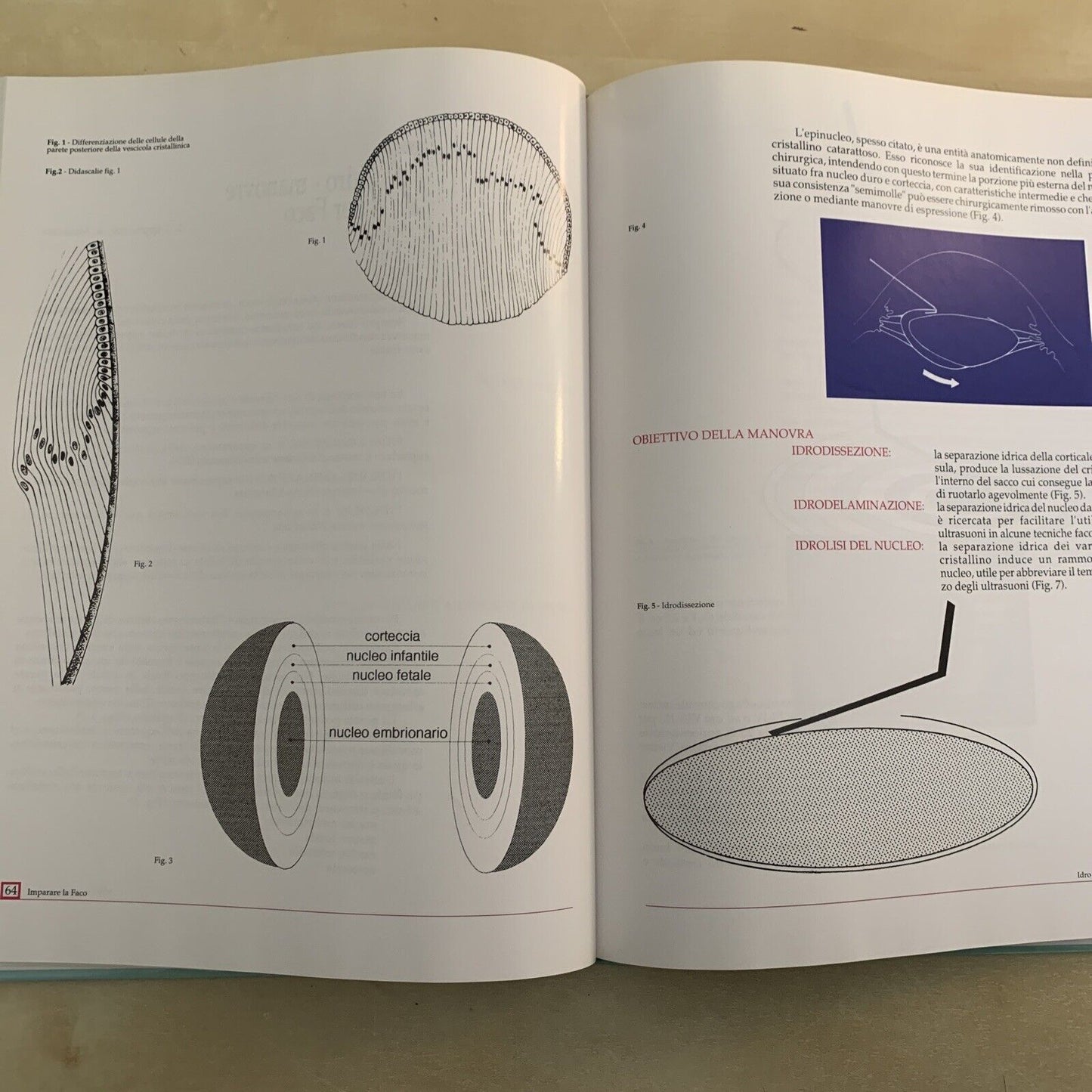 IMPARARE LA FACO - DAL FIUME E. , TASSINARI G. - FOGLIAZZA EDITORE 1992
