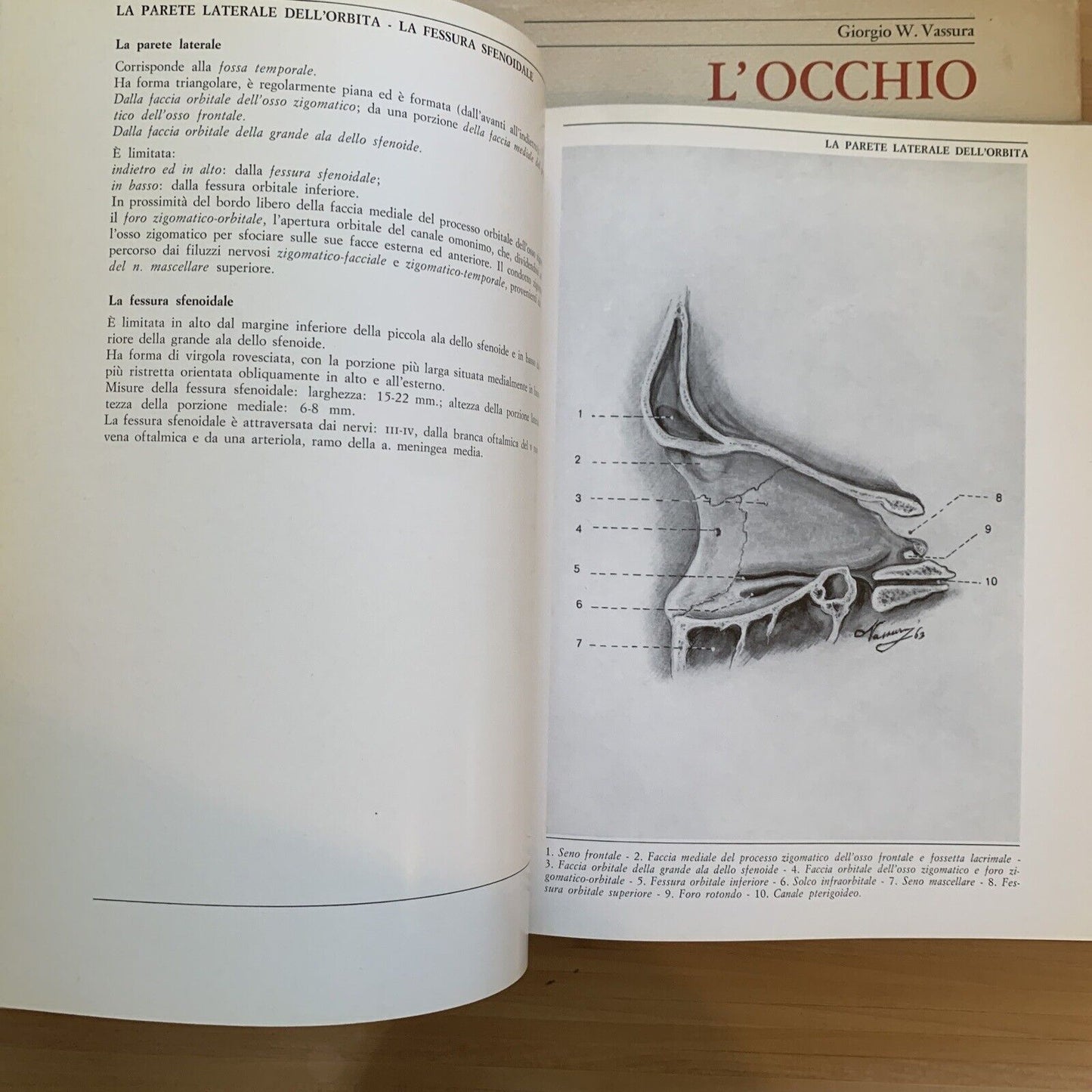 L'OCCHIO - Iconografia anatomica 4 volumi. Giorgio W. Vassura. Italseber