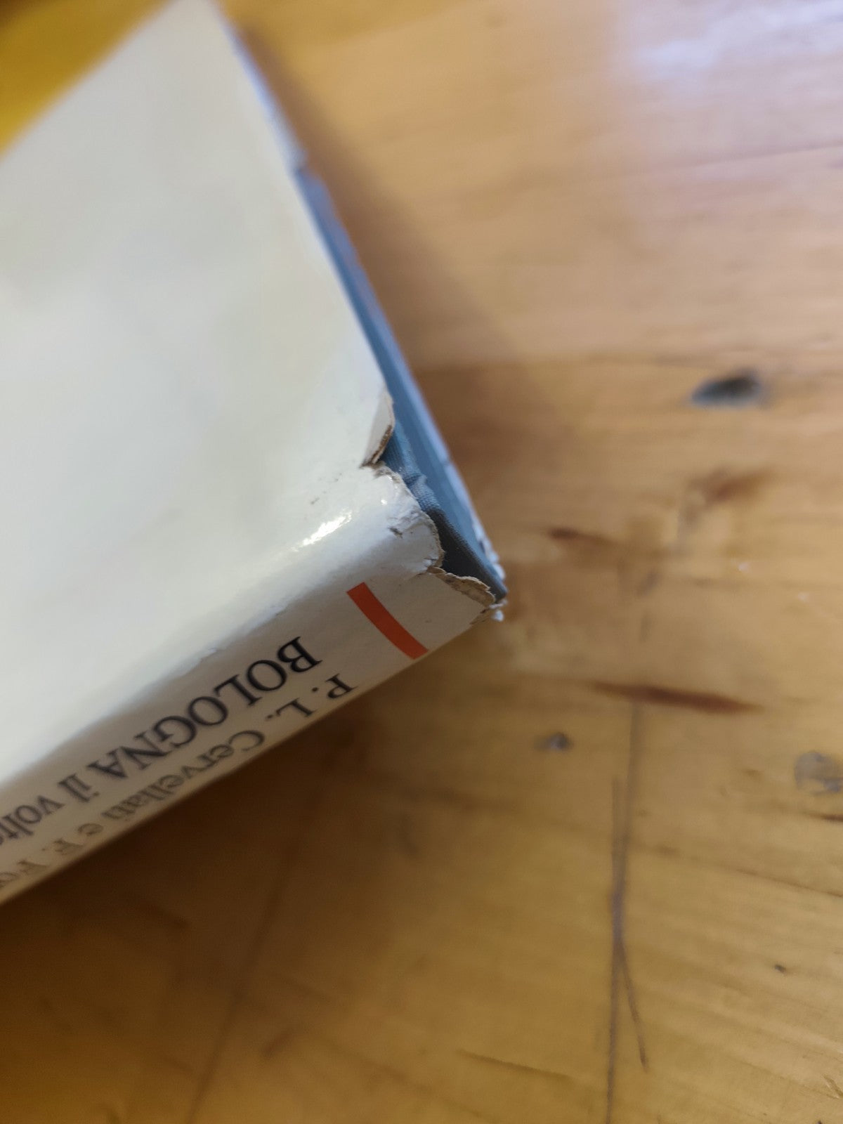 Bologna il volto della città, Pier Luigi Cervellati Franco Fontana RFL ed. 1975